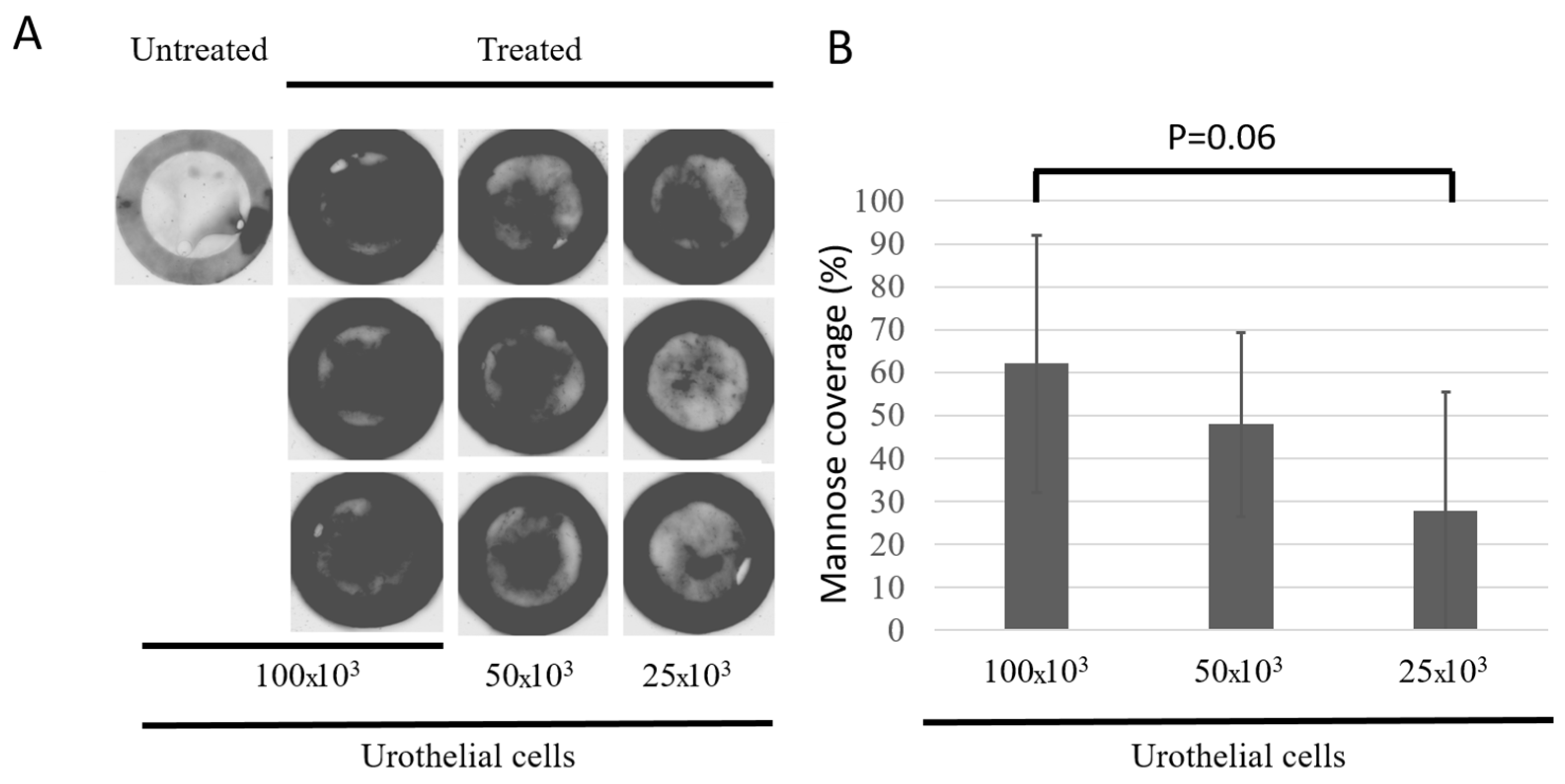 Microorganisms 12 02155 g005