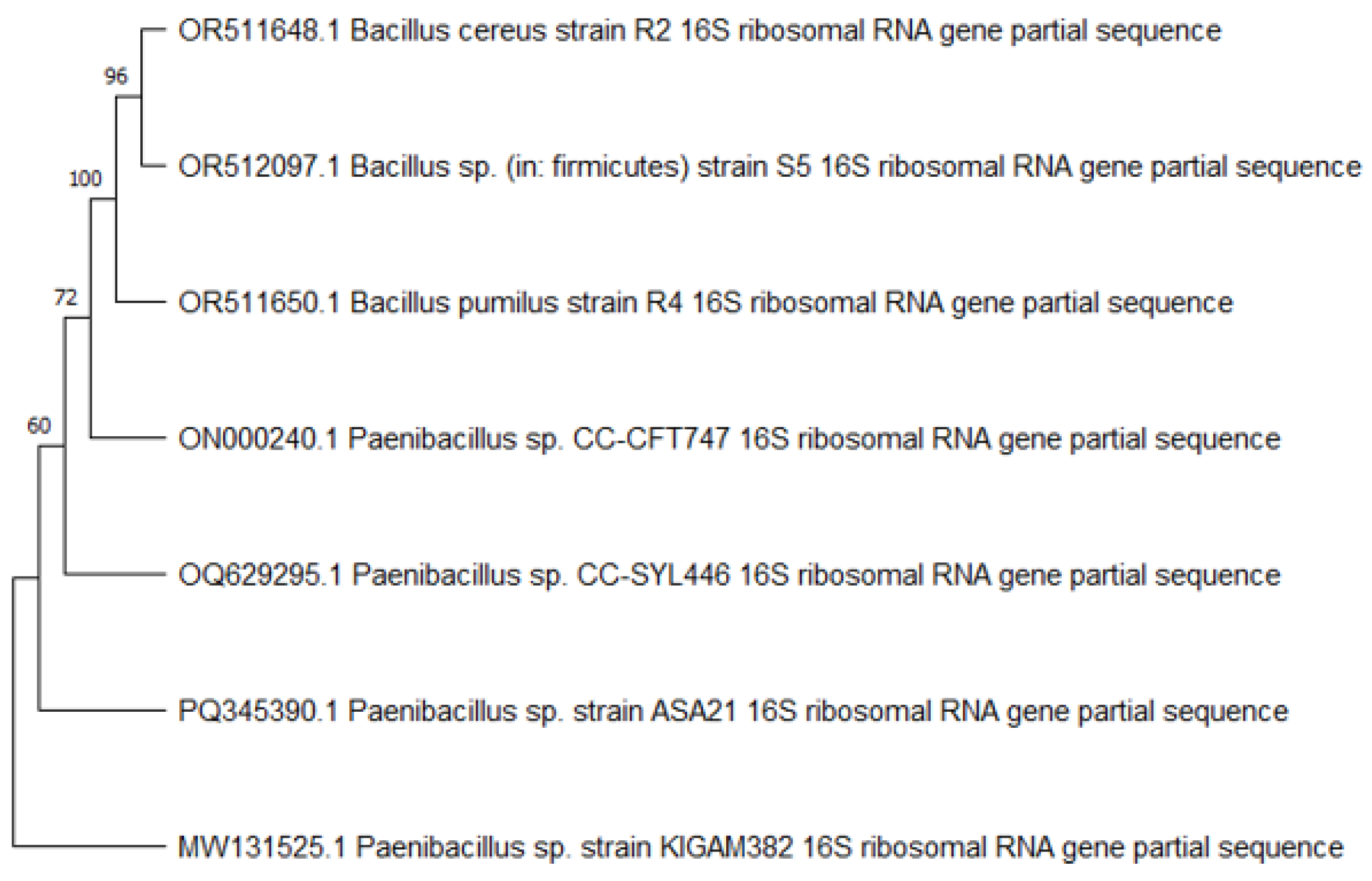 Microorganisms 12 02162 g001
