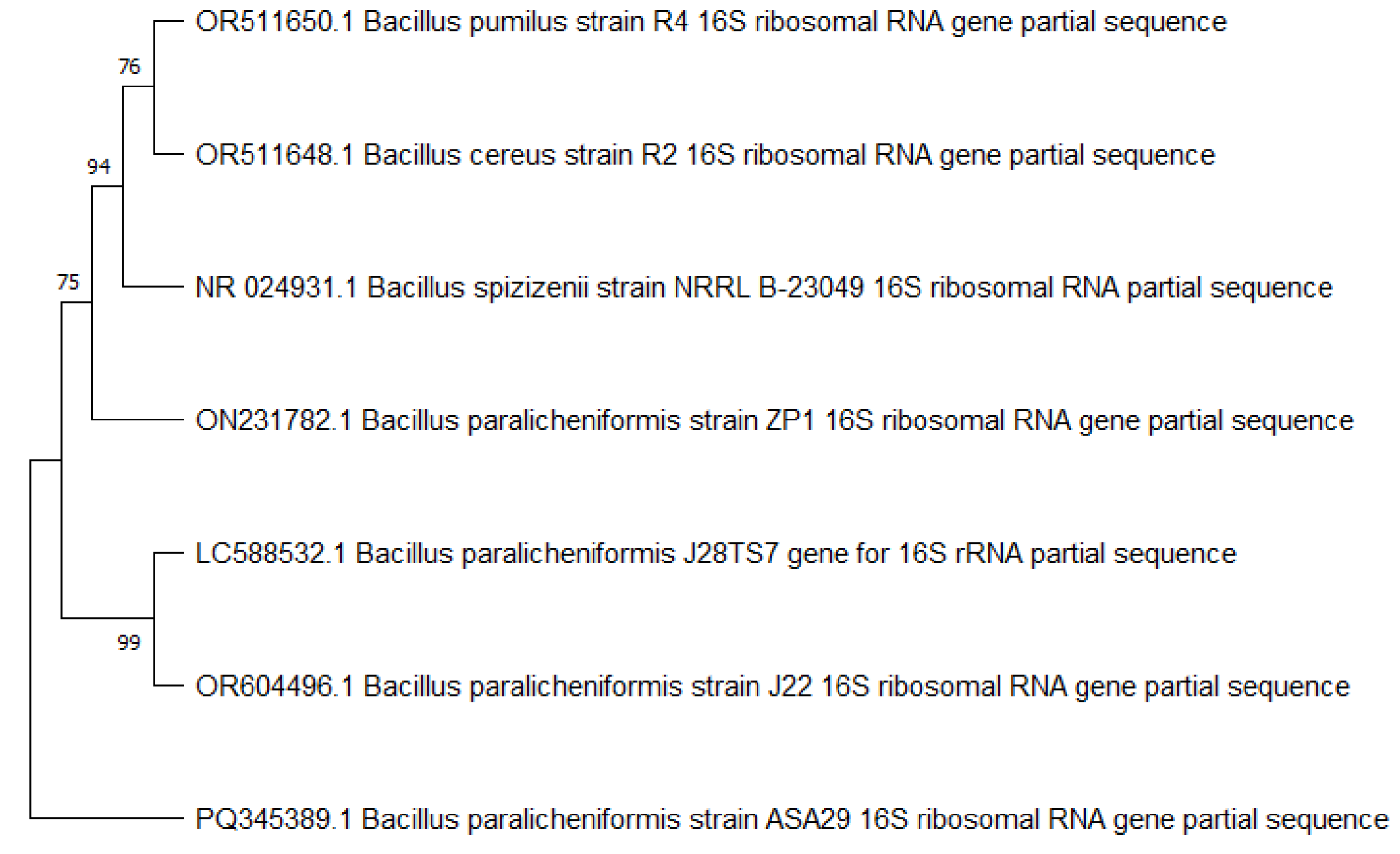 Microorganisms 12 02162 g002