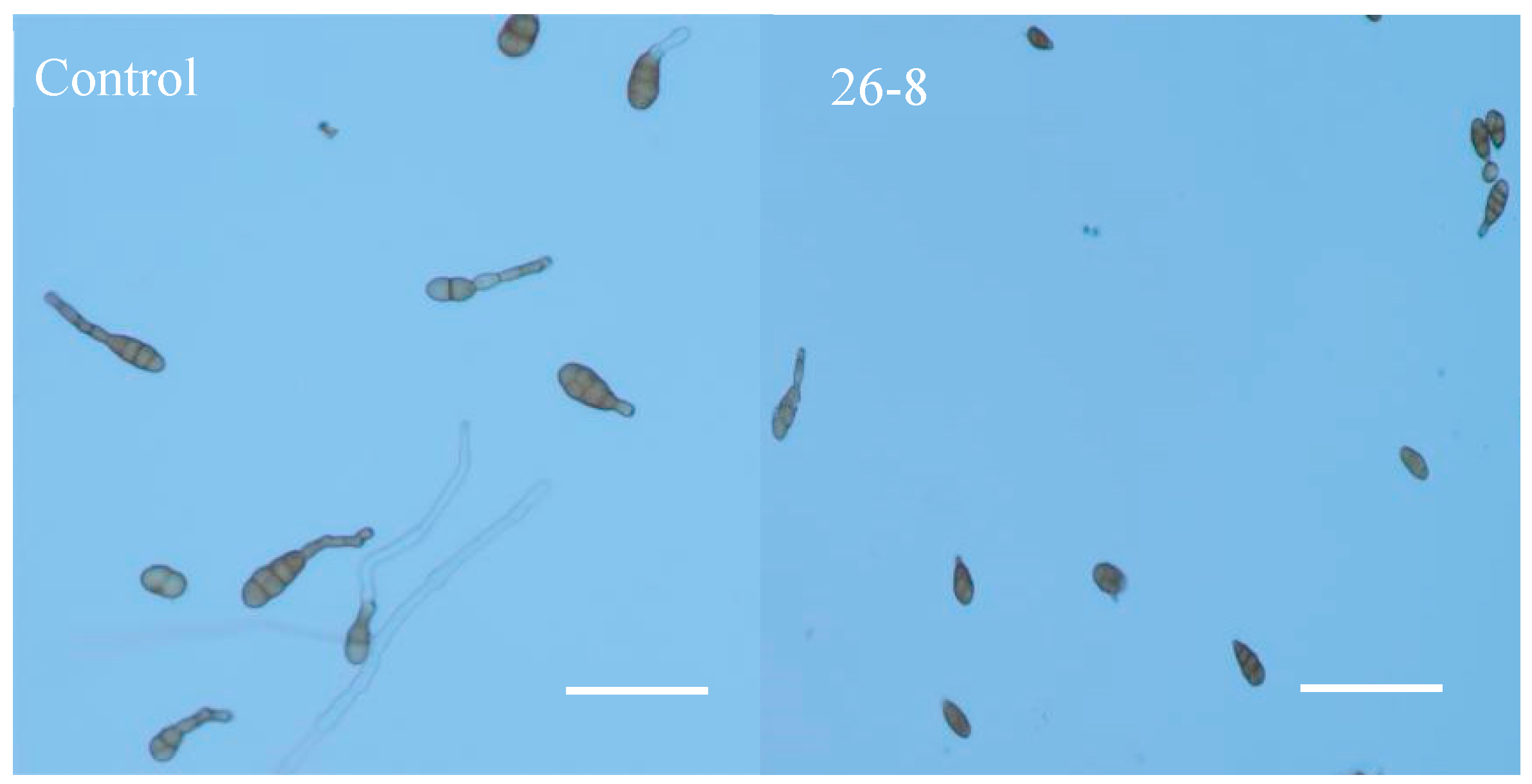 Microorganisms 12 02189 g009