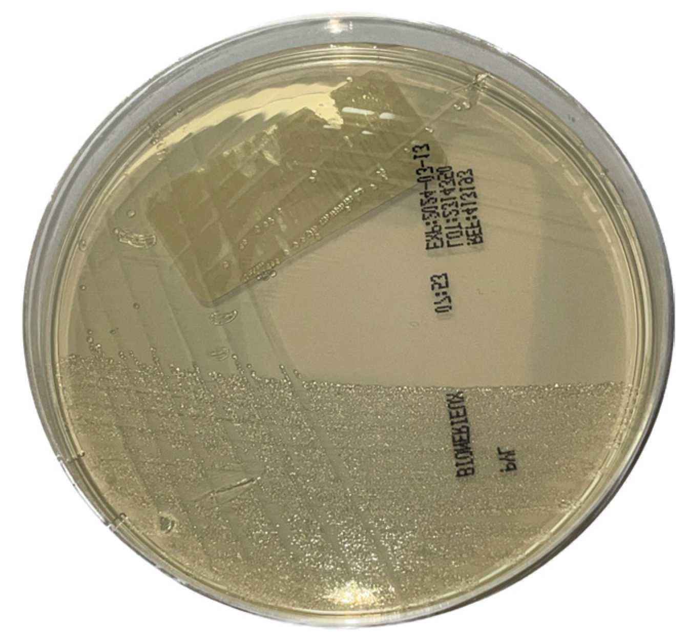 Microorganisms 12 02192 g001