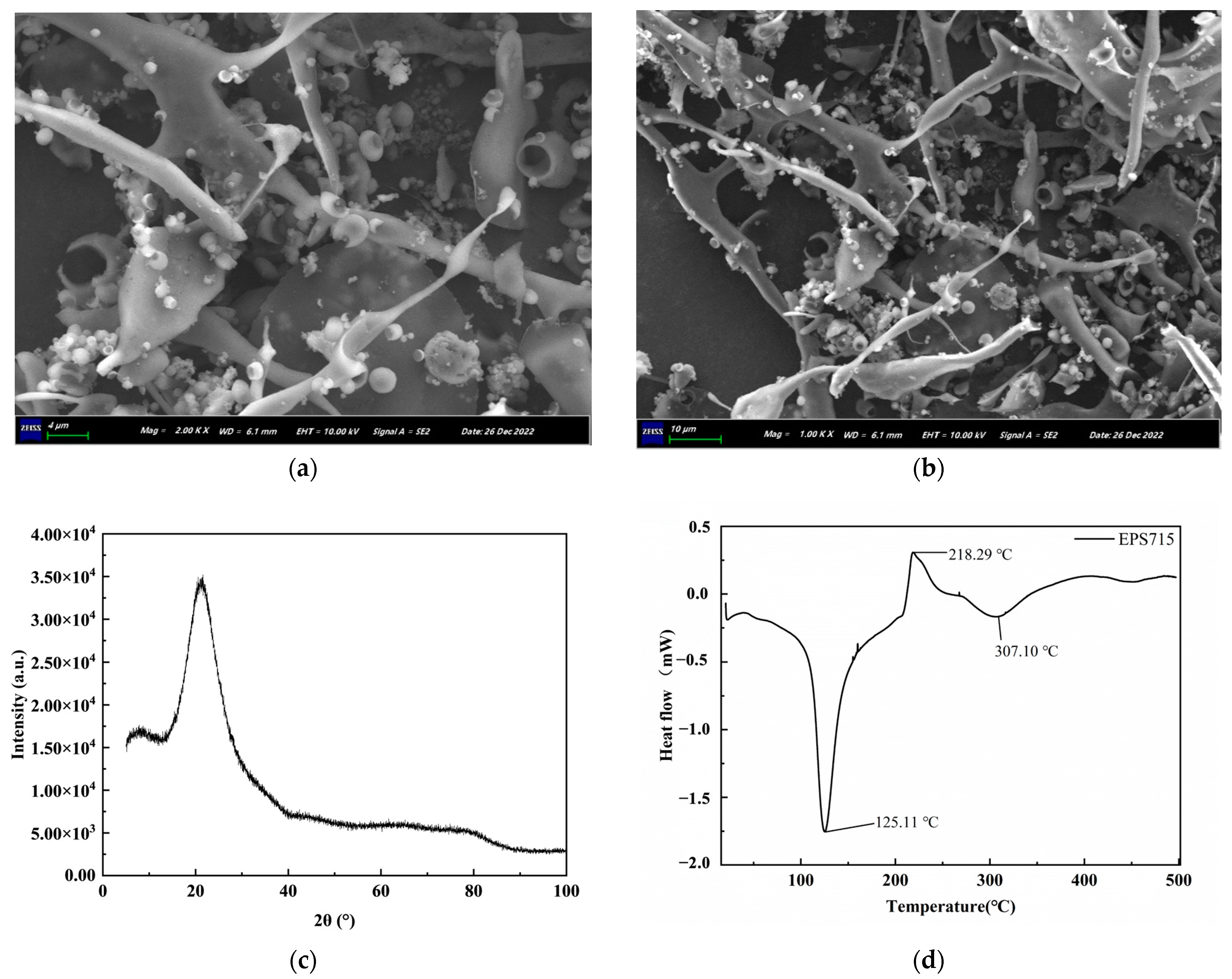 Microorganisms 12 02229 g004