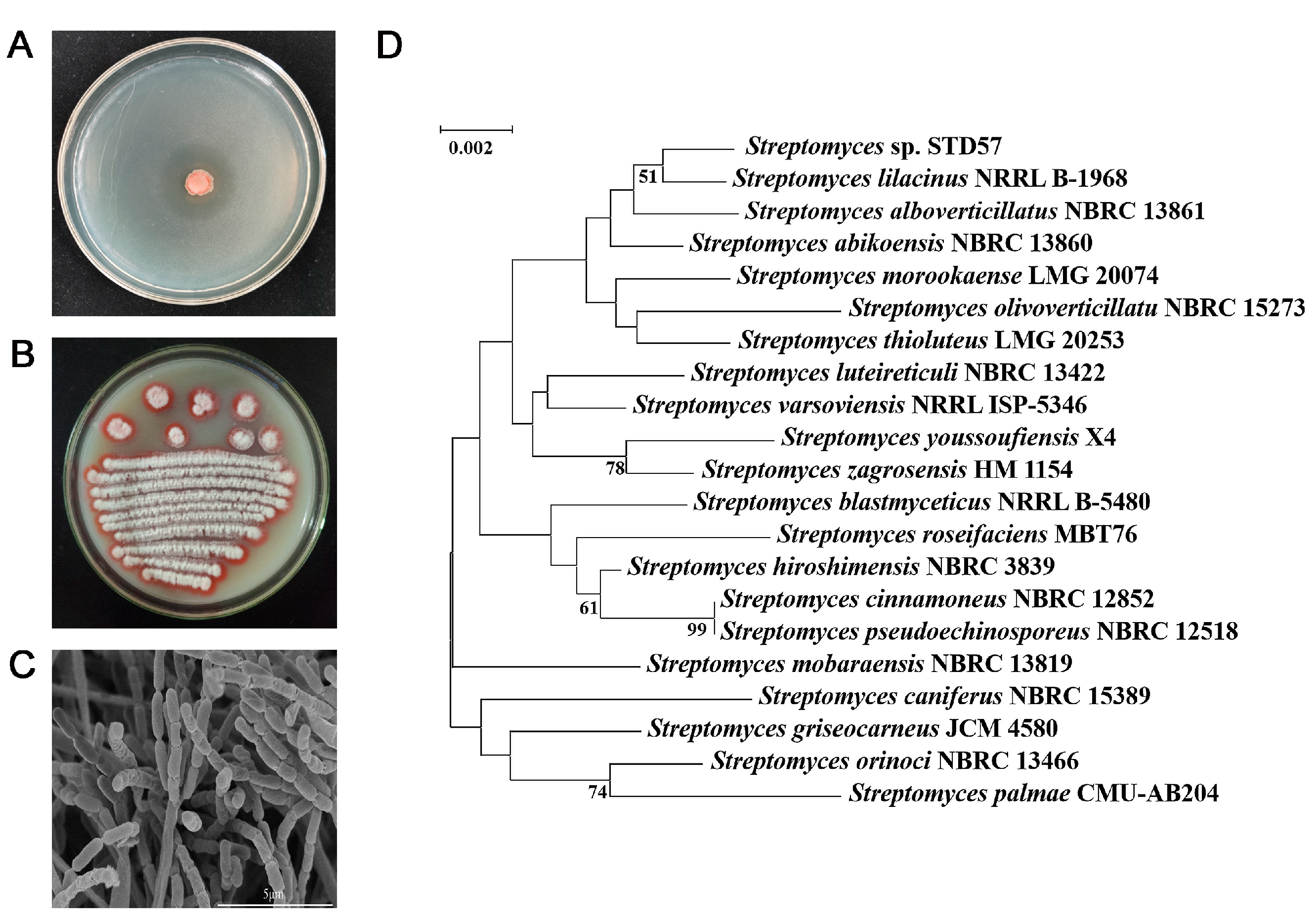 Microorganisms 12 02245 g001