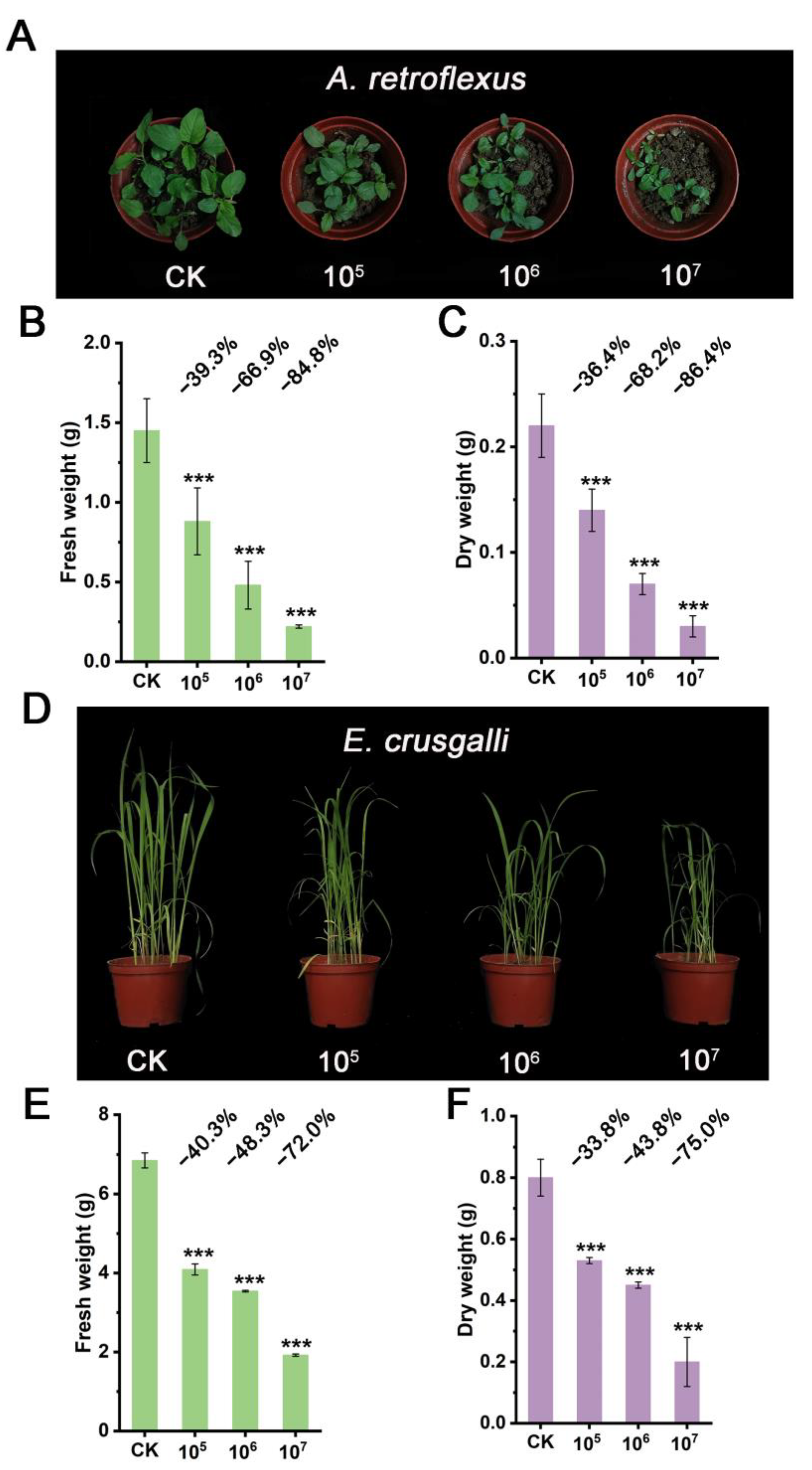 Microorganisms 12 02245 g004
