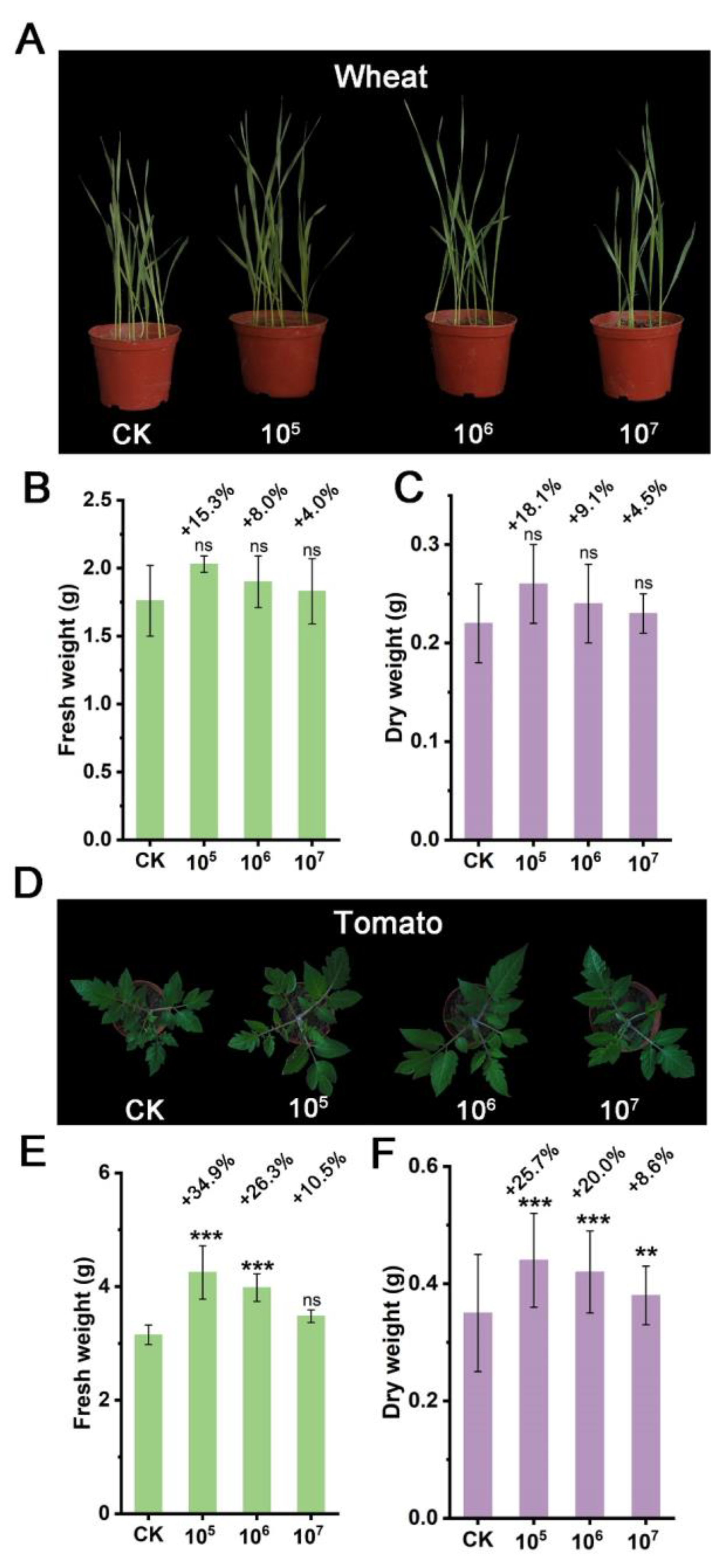 Microorganisms 12 02245 g006
