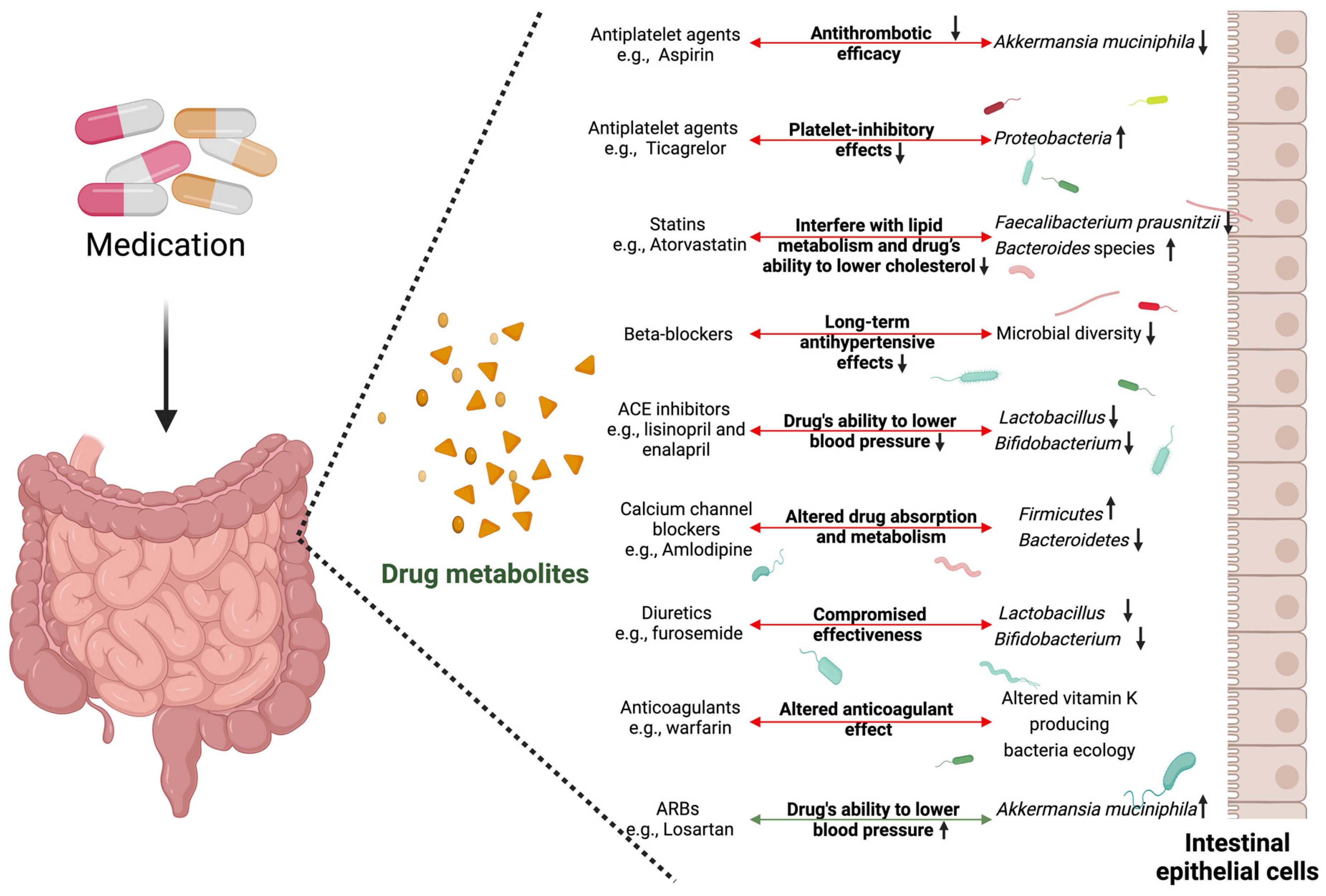 Microorganisms 12 02246 g002
