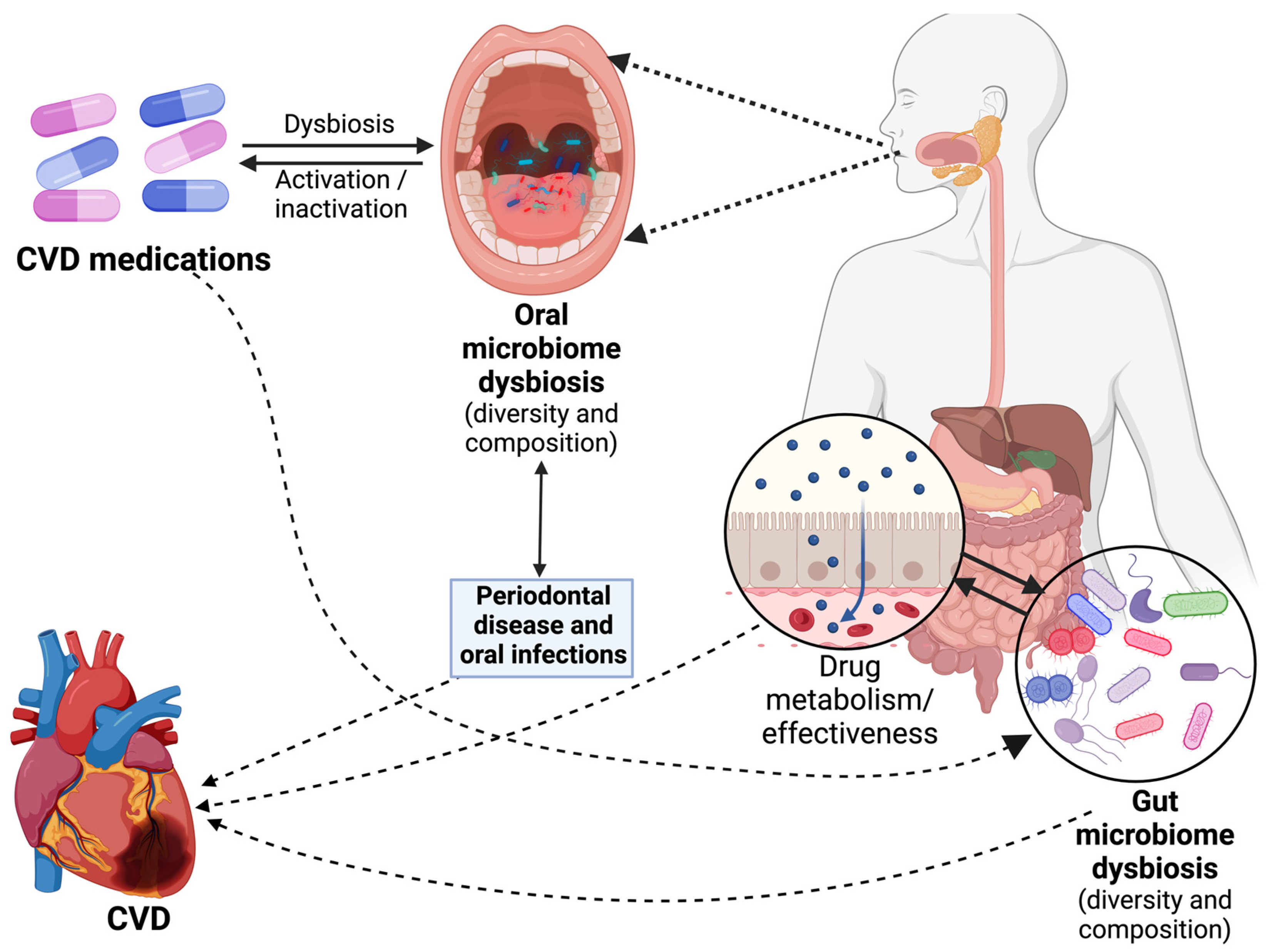 Microorganisms 12 02246 g003