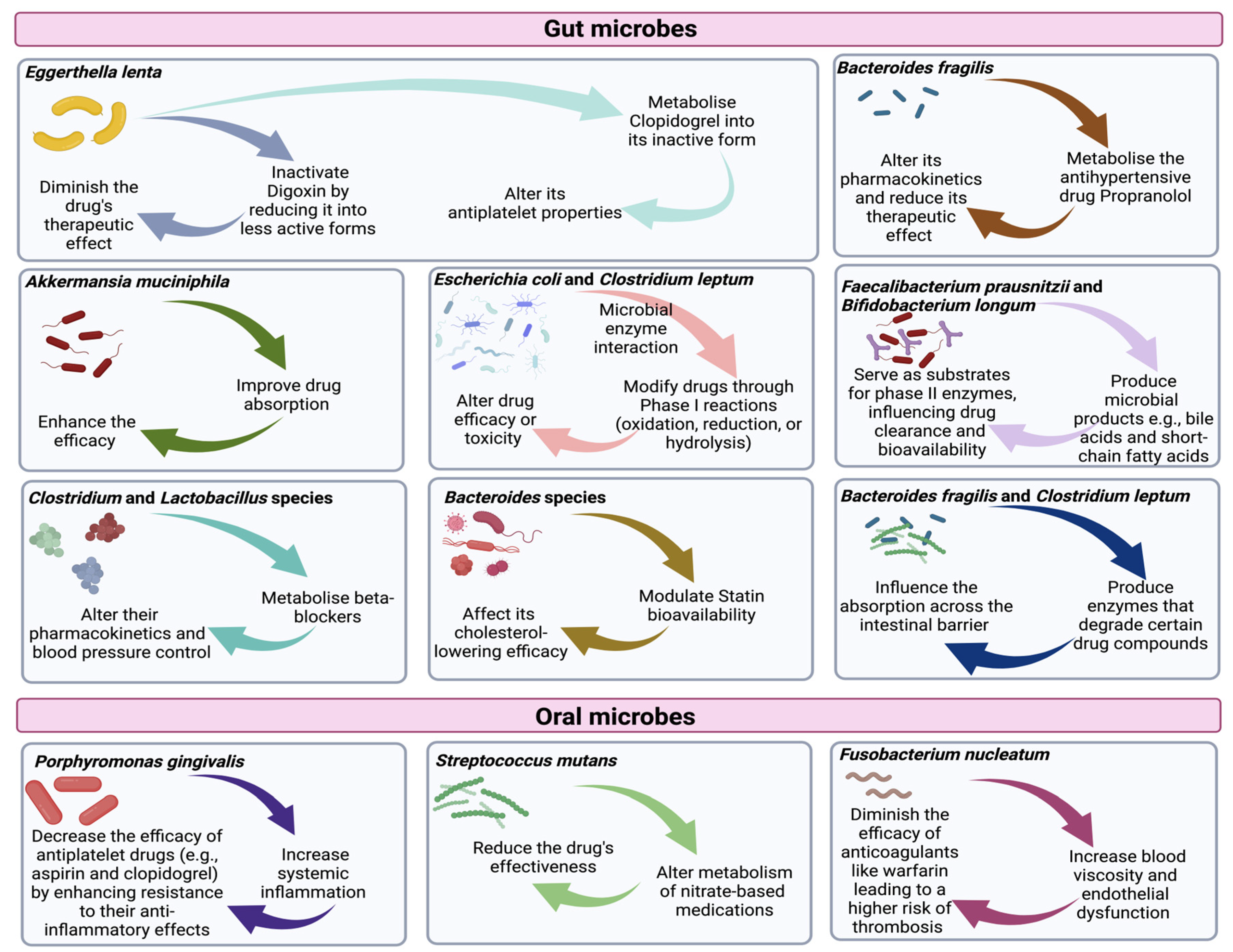 Microorganisms 12 02246 g004
