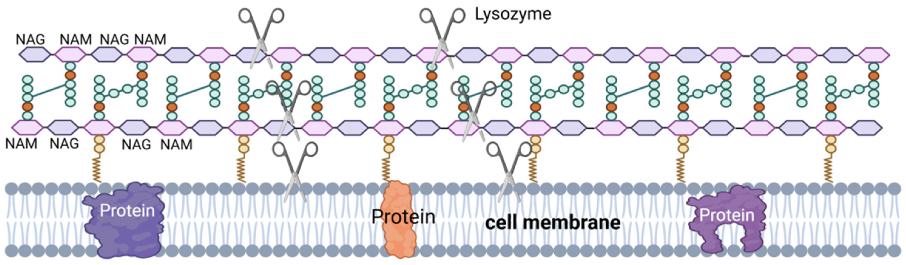 Microorganisms 12 02253 g004
