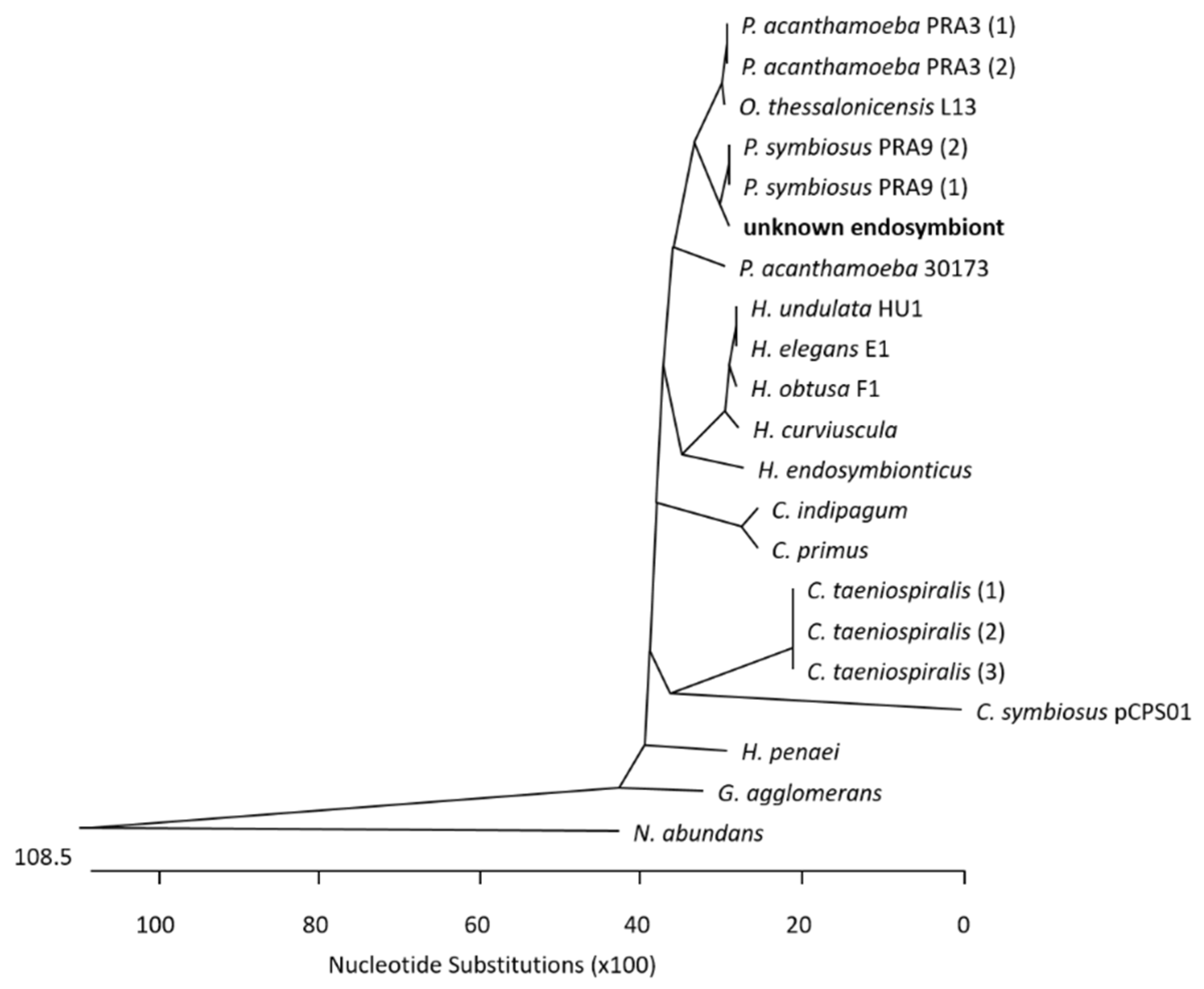 Microorganisms 12 02292 g001