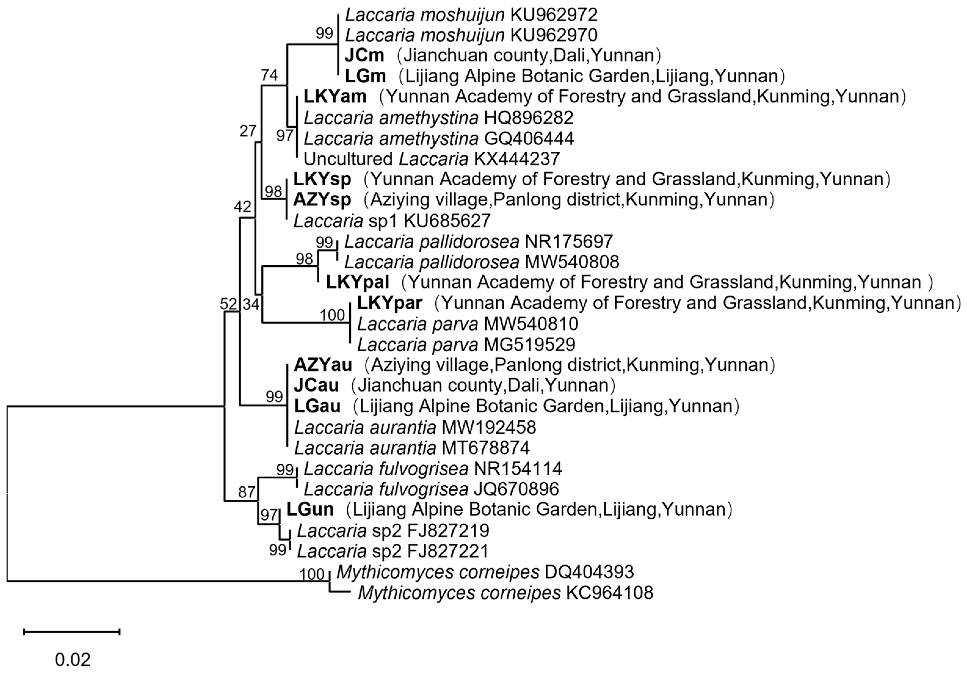 Microorganisms 12 02296 g001