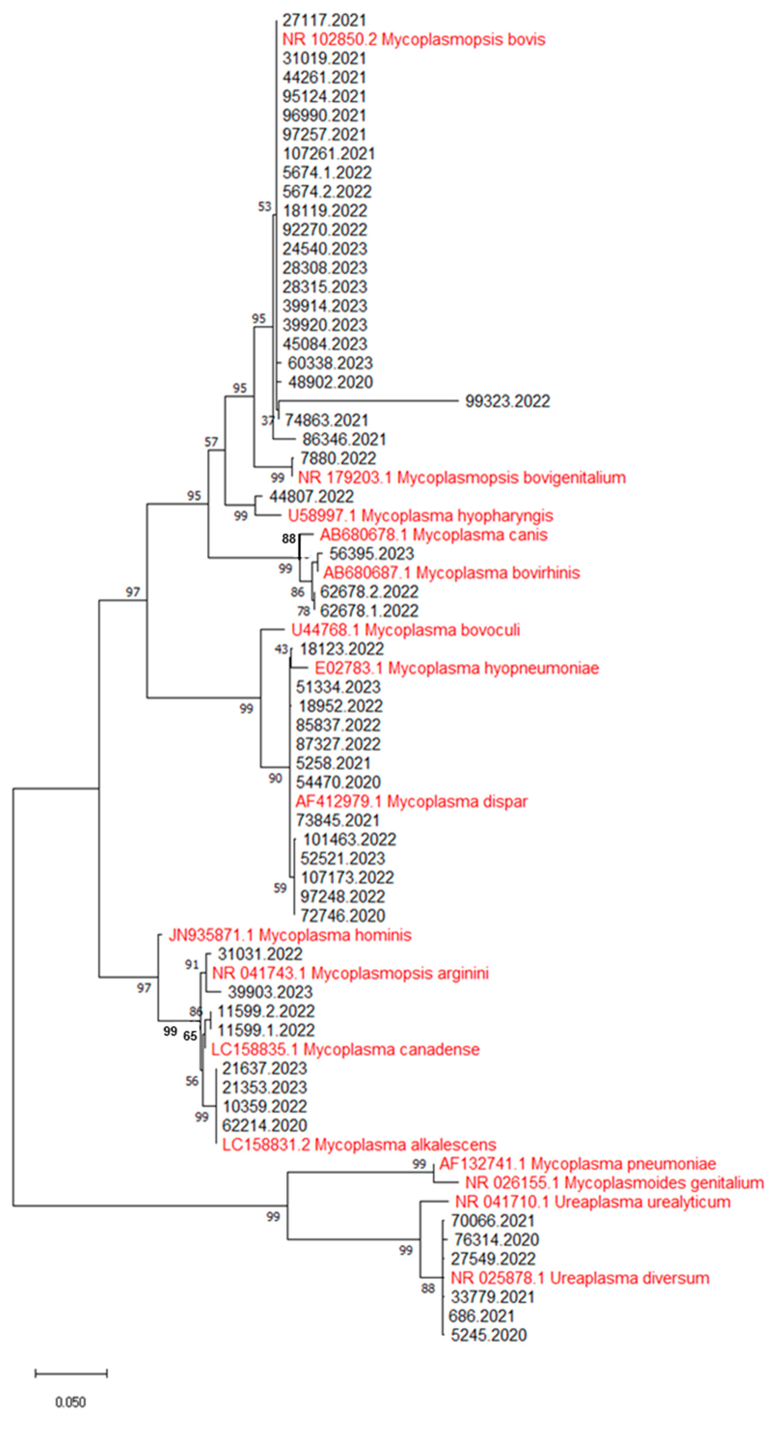 Microorganisms 12 02340 g002