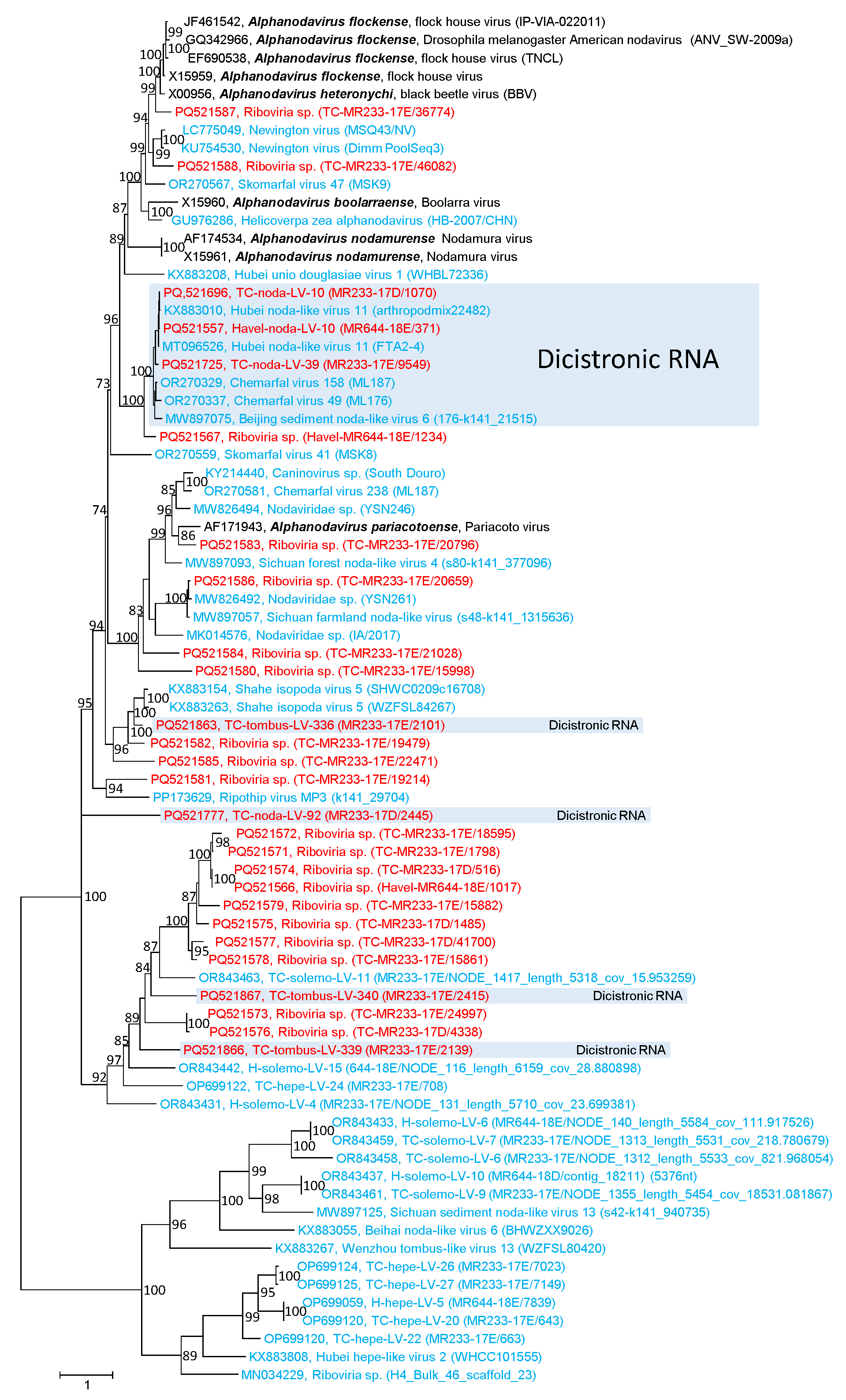 Microorganisms 12 02361 g002