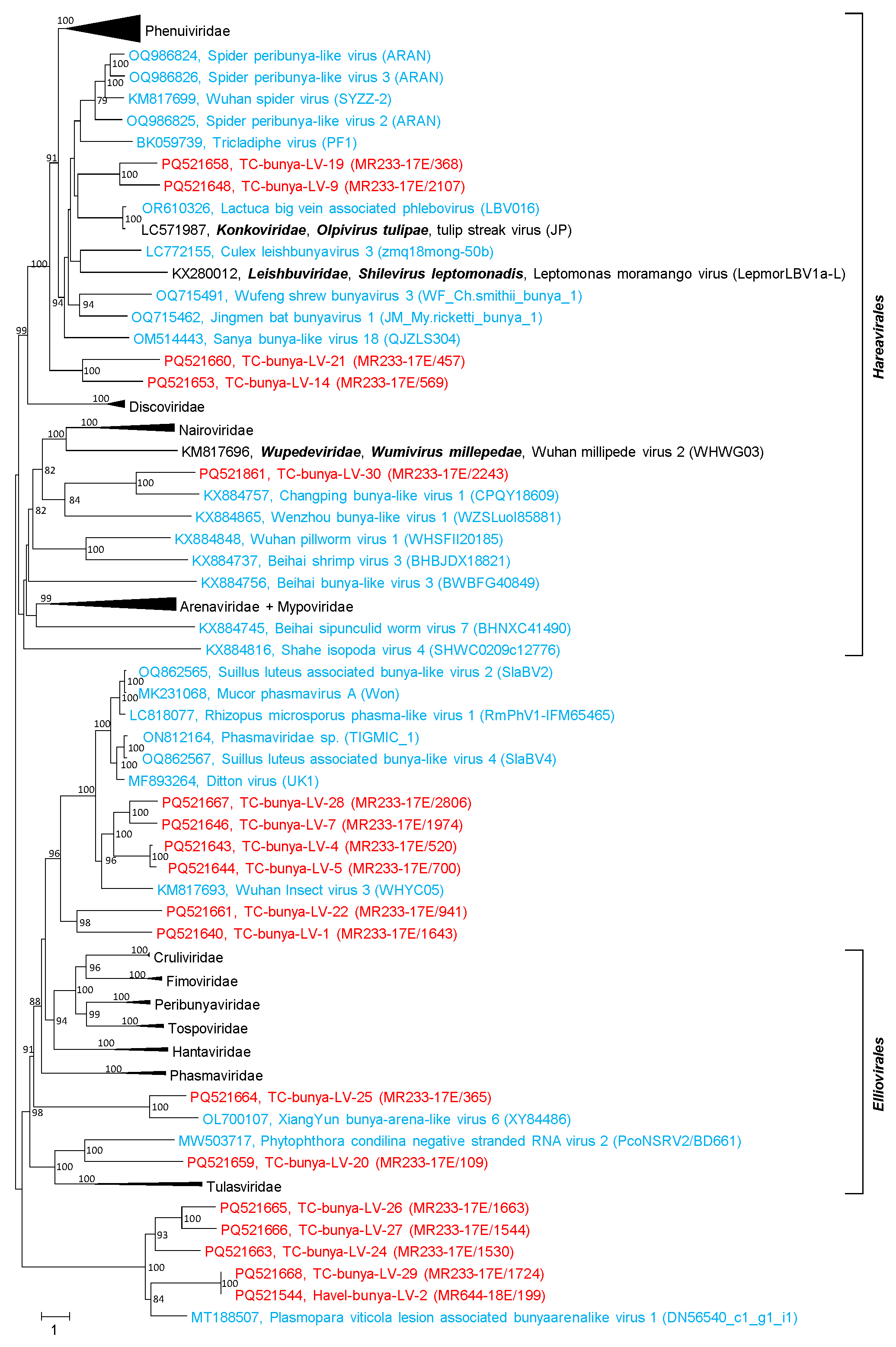 Microorganisms 12 02361 g004