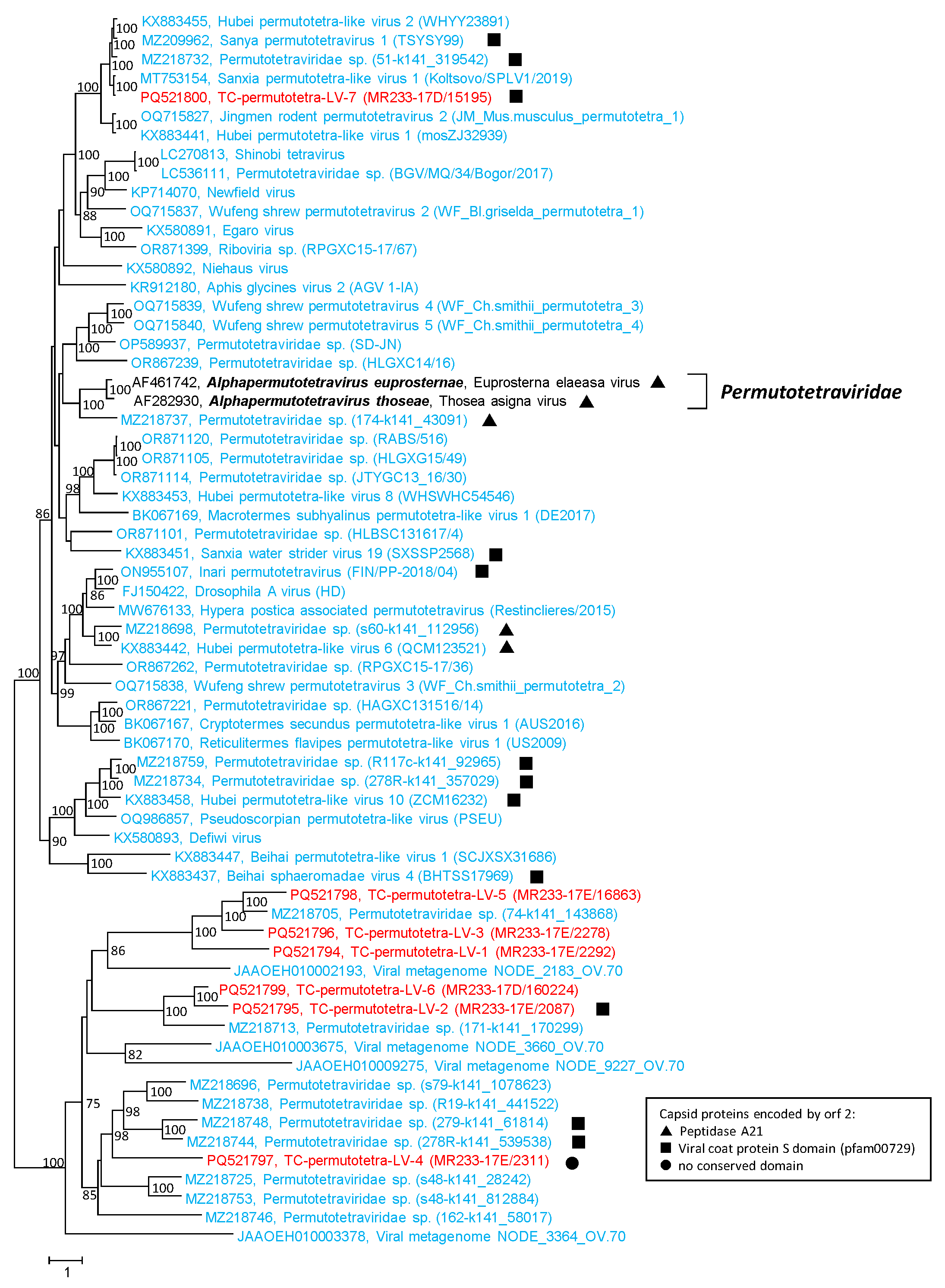 Microorganisms 12 02361 g007
