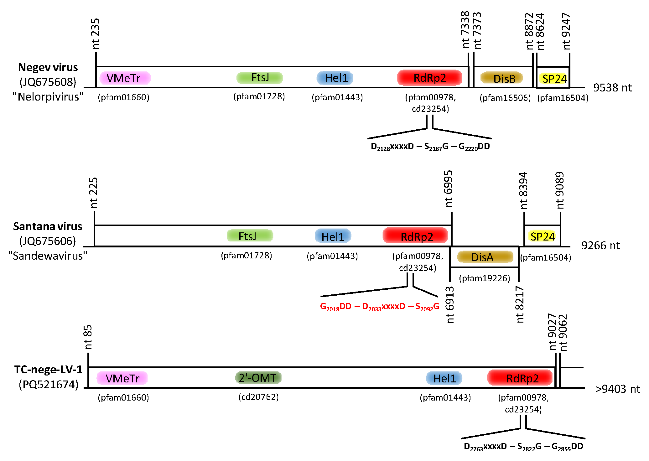 Microorganisms 12 02361 g011