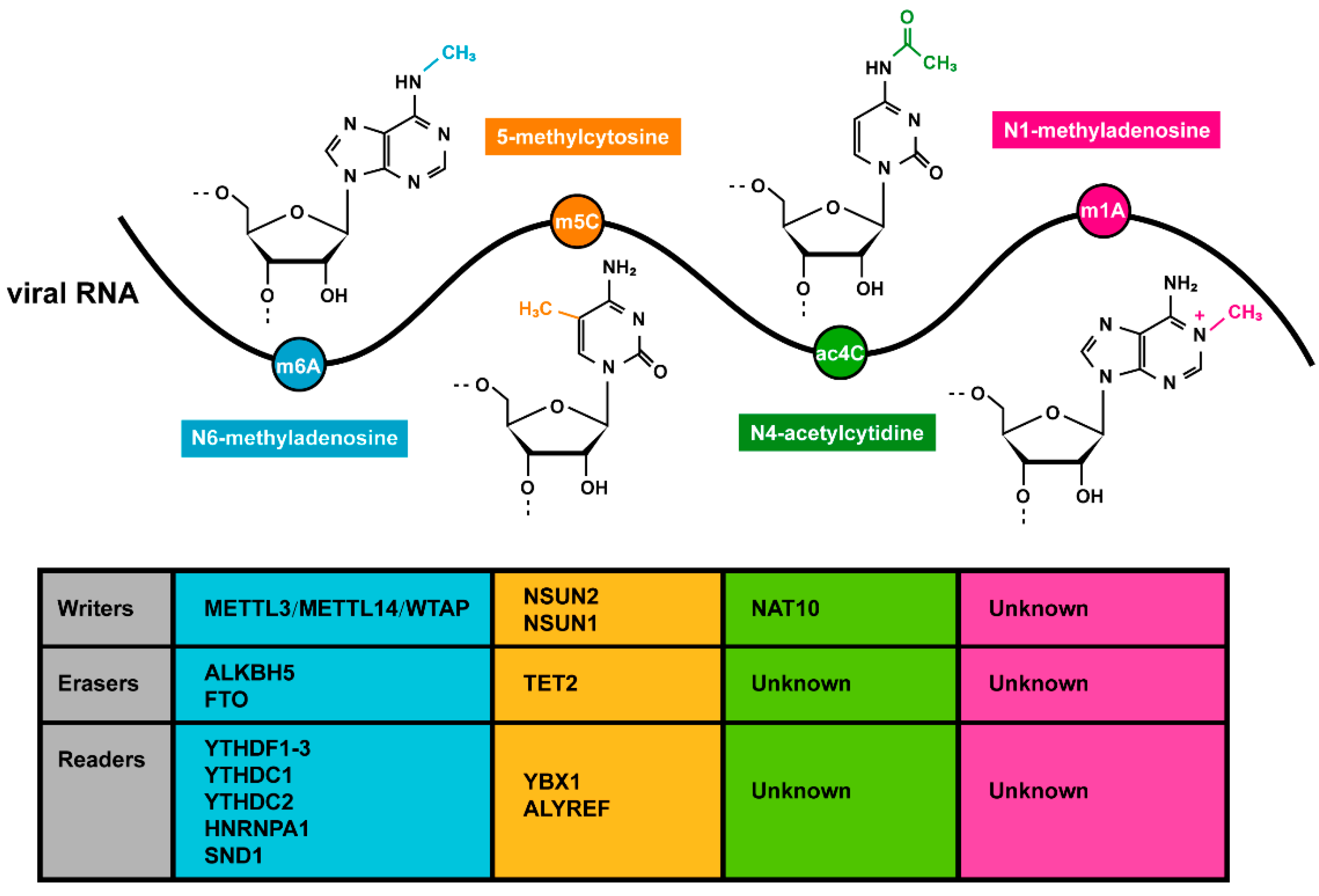 Microorganisms 12 02373 g001