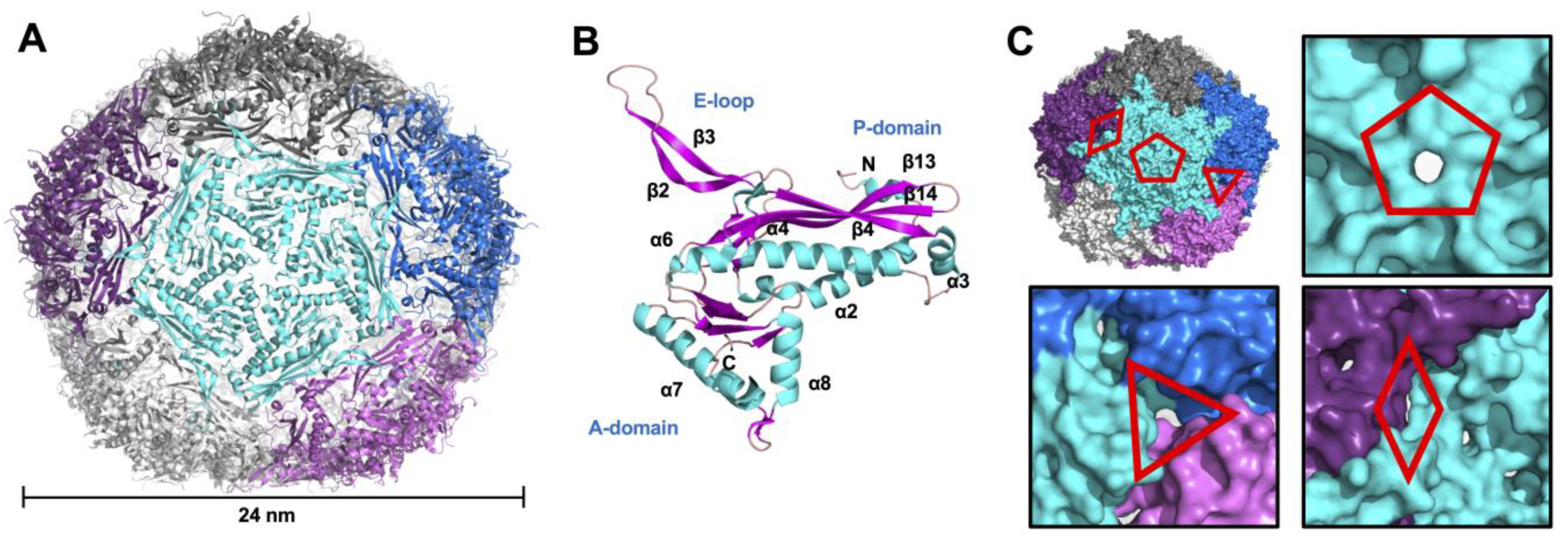 Microorganisms 12 02465 g001