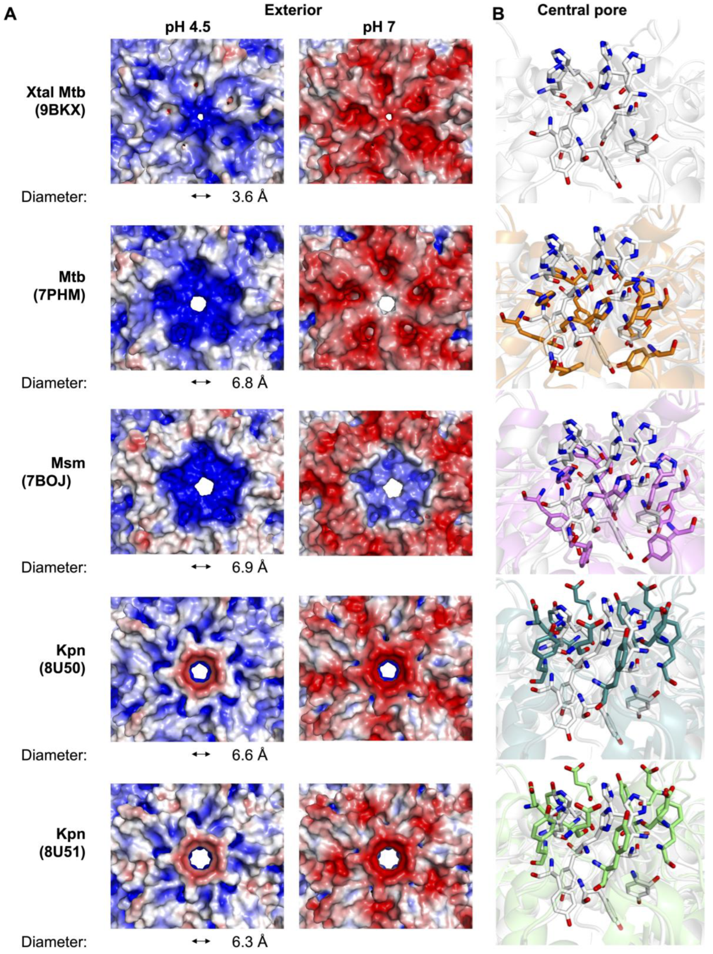 Microorganisms 12 02465 g002