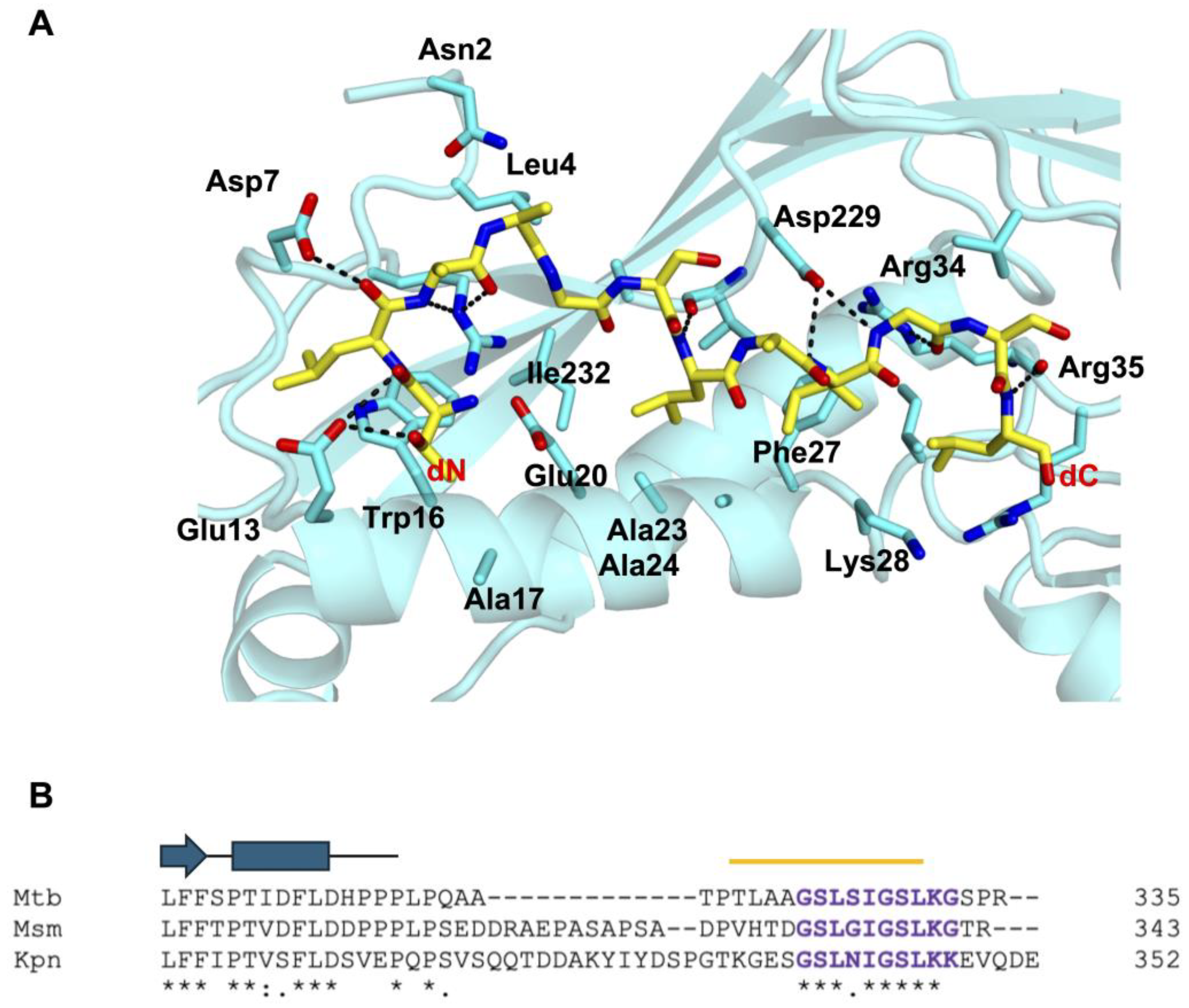 Microorganisms 12 02465 g005