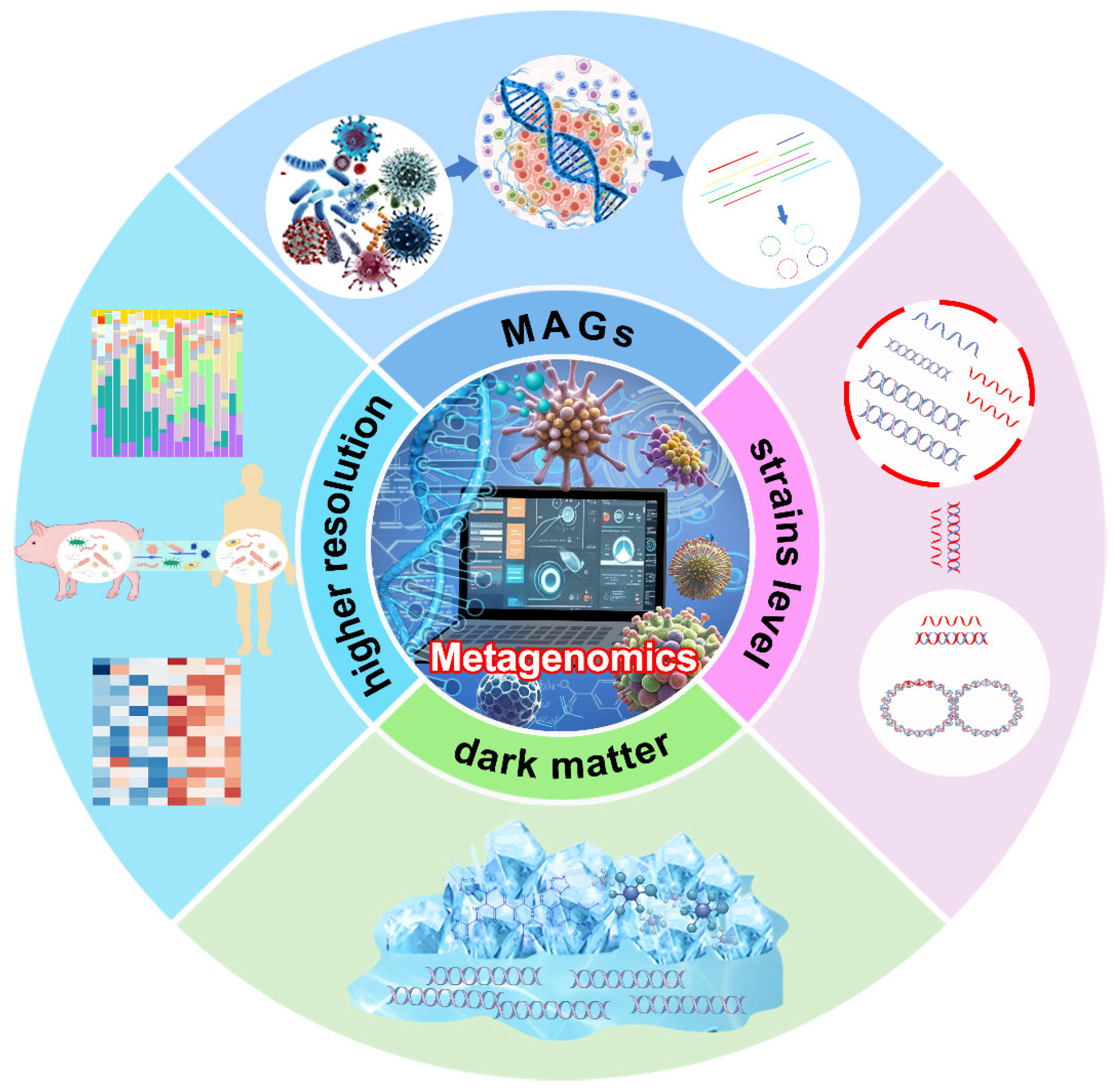 Microorganisms 12 02482 g001