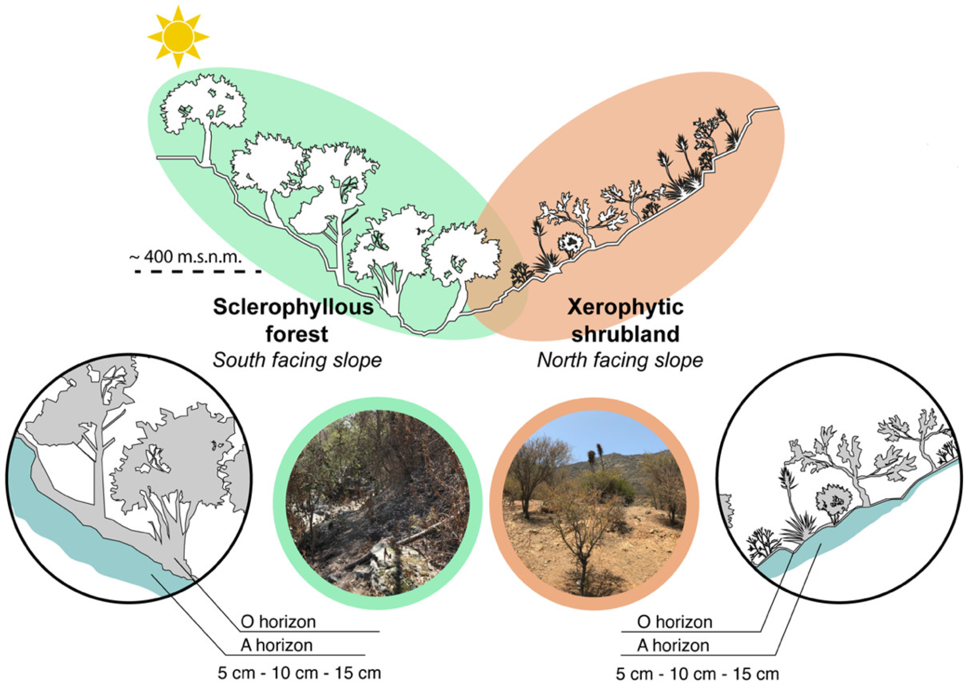 Microorganisms 12 02487 g002 Microorganisms 12 02487 g002