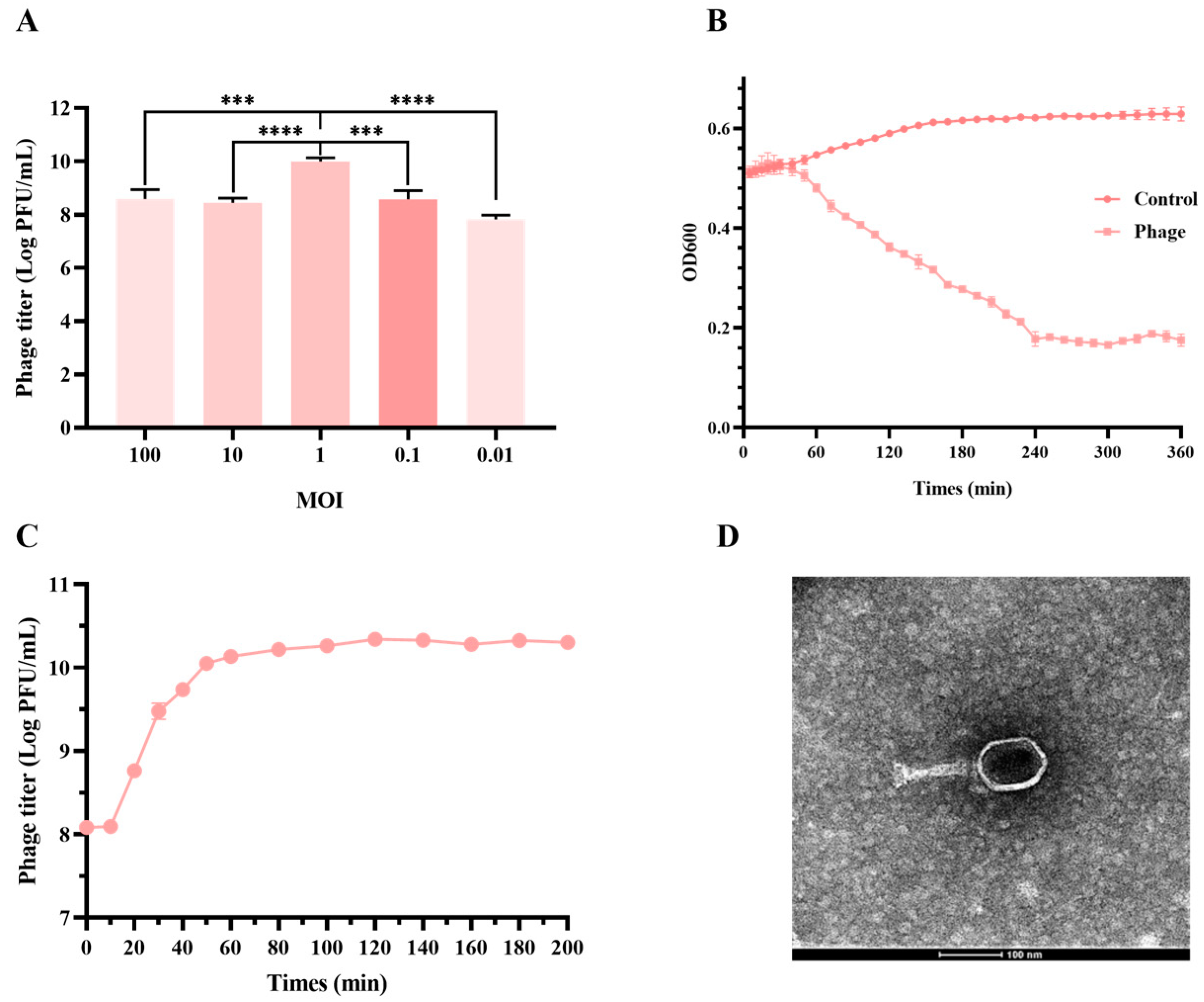 Microorganisms 12 02532 g001