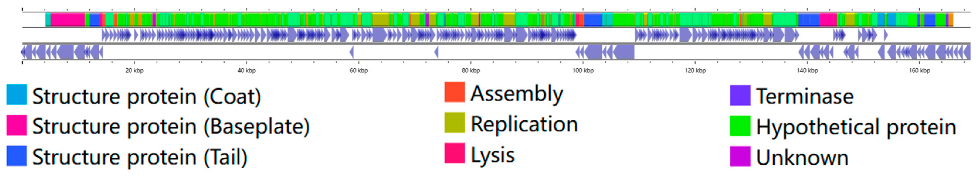 Microorganisms 12 02532 g002