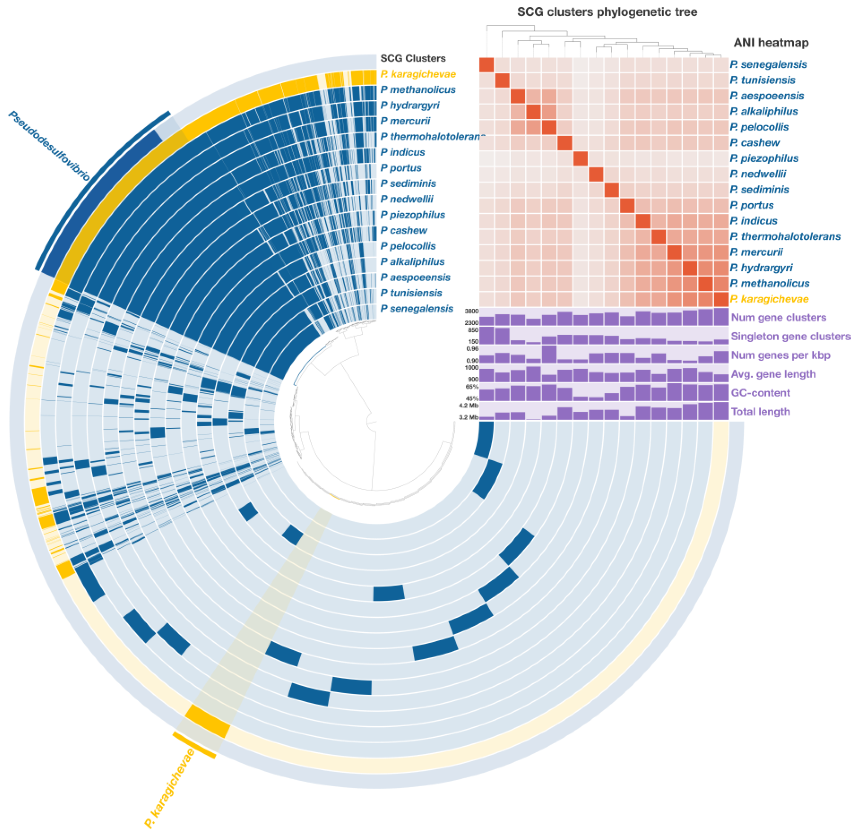 Microorganisms 12 02552 g004 Microorganisms 12 02552 g004