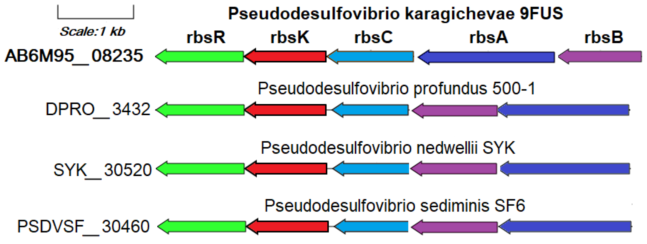 Microorganisms 12 02552 g006 Microorganisms 12 02552 g006