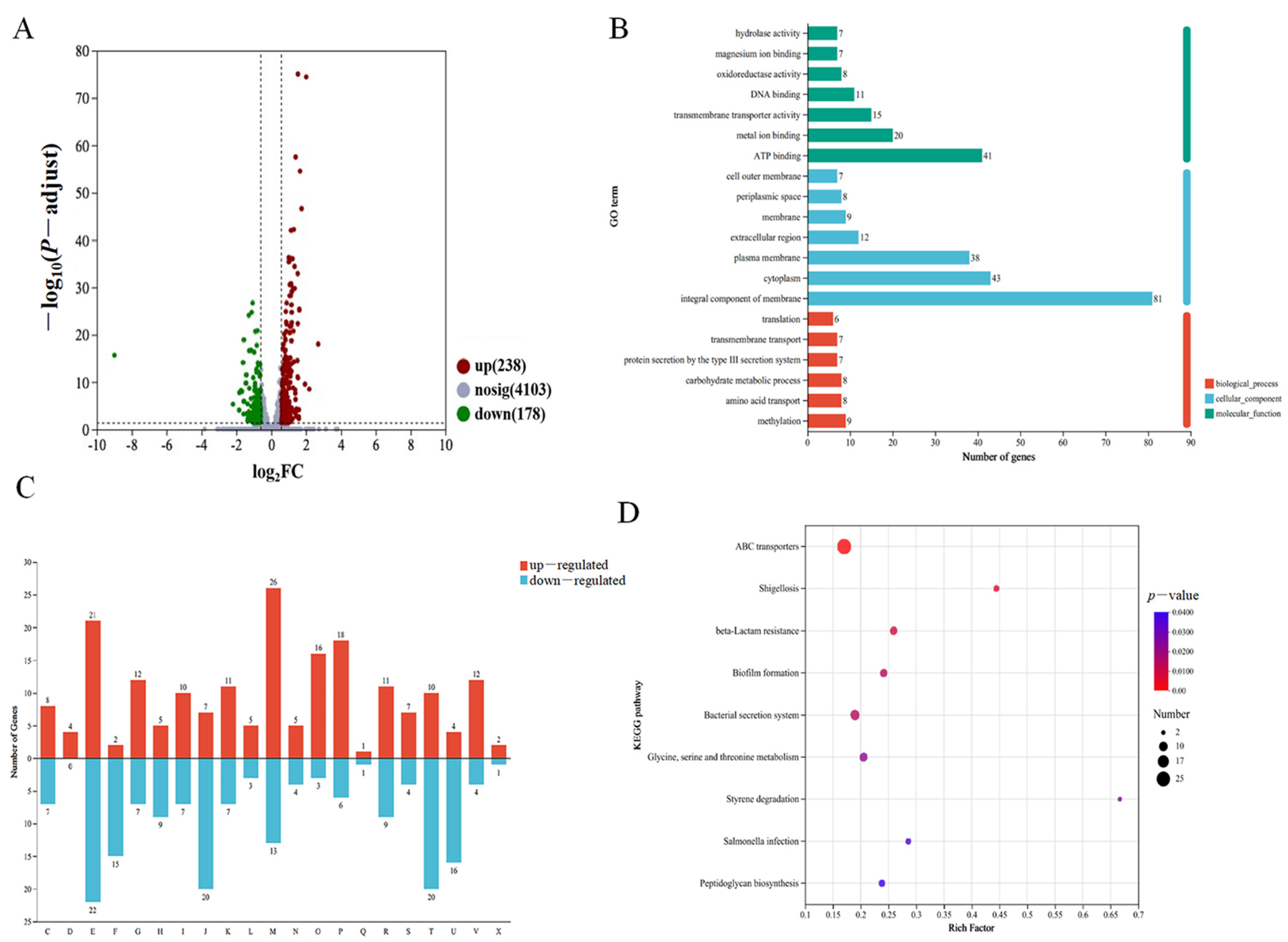 Microorganisms 13 00007 g003