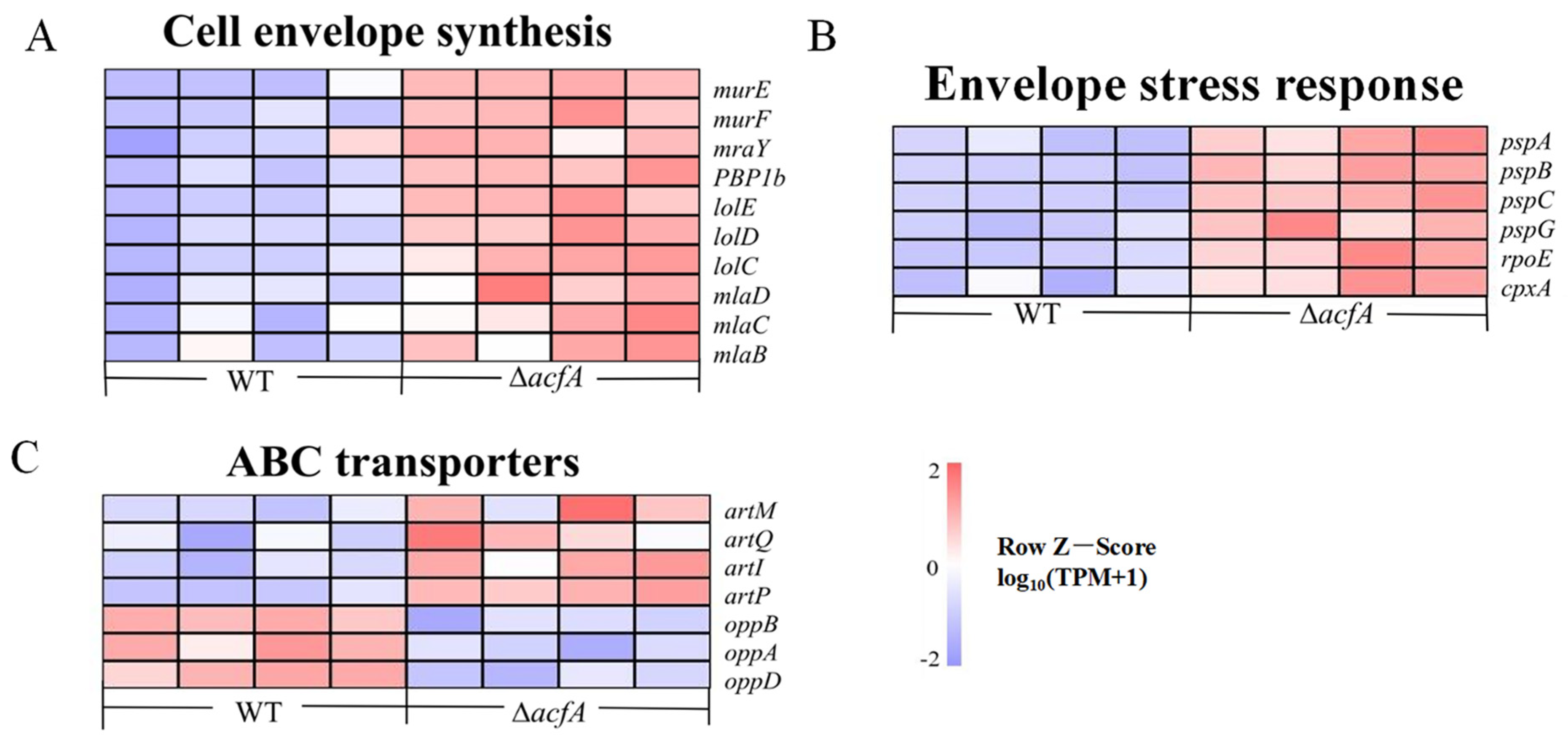 Microorganisms 13 00007 g006