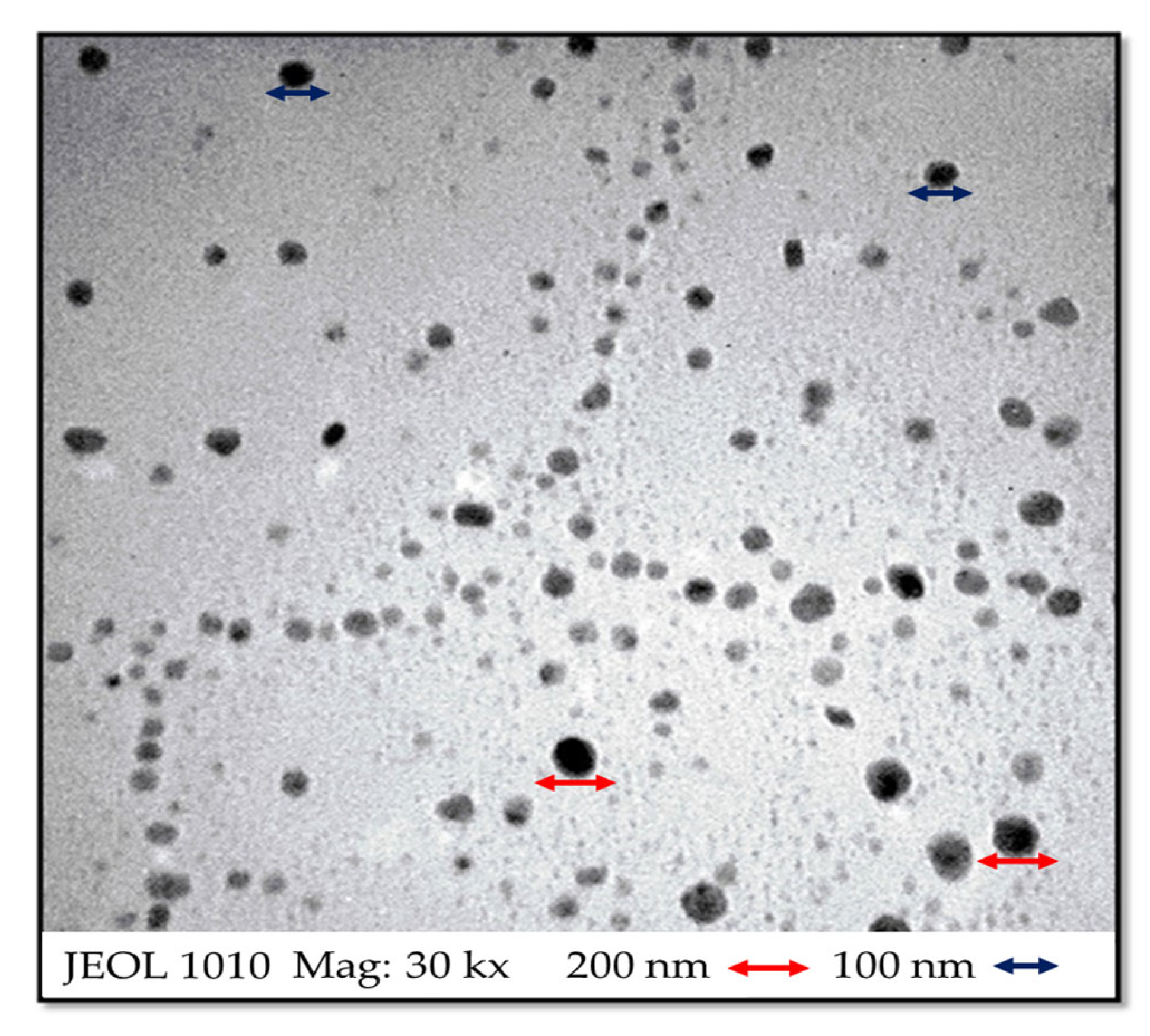 Microorganisms 13 00018 g003
