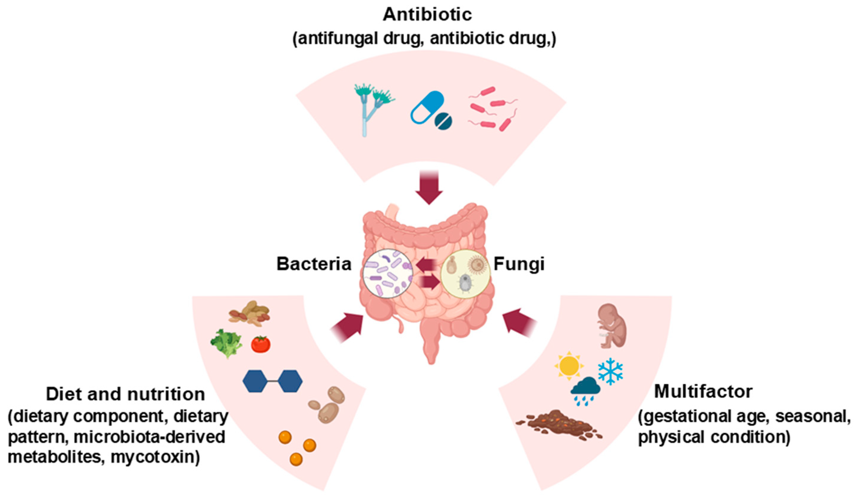 Microorganisms 13 00070 g001 Microorganisms 13 00070 g001