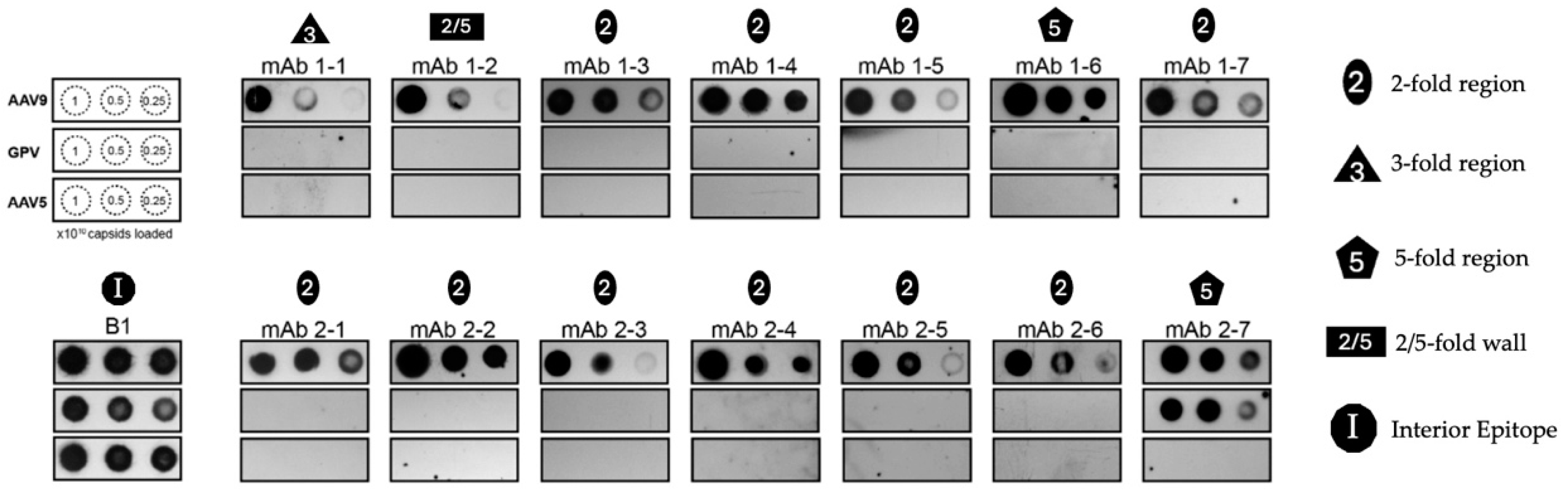 Microorganisms 13 00080 g004