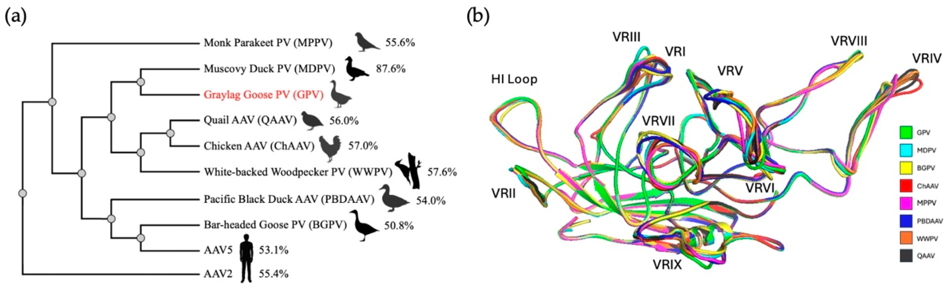 Microorganisms 13 00080 g006