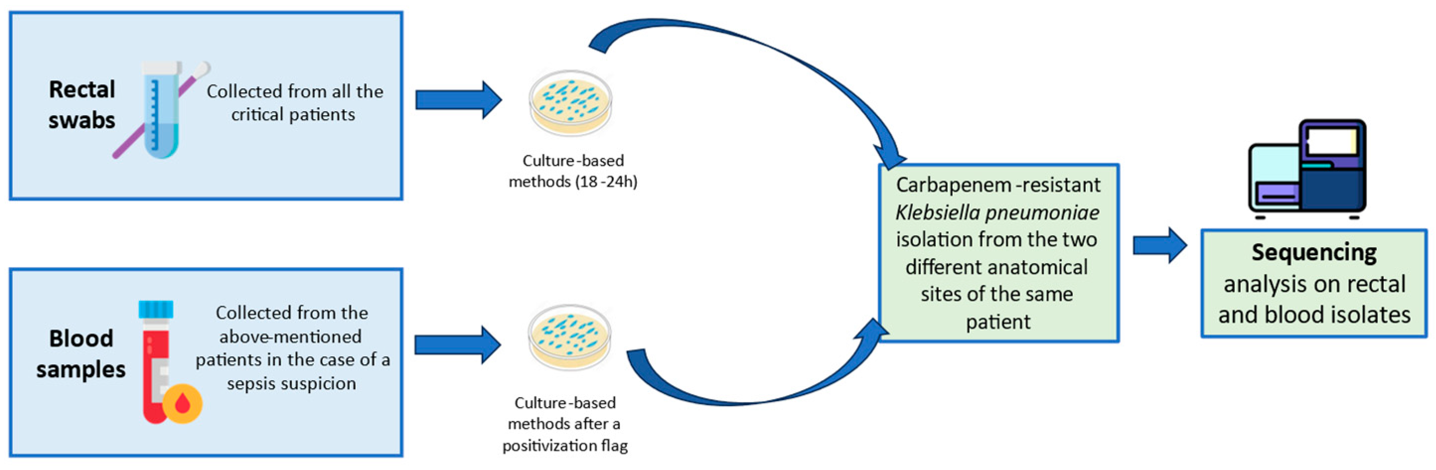 Microorganisms 13 00089 g001
