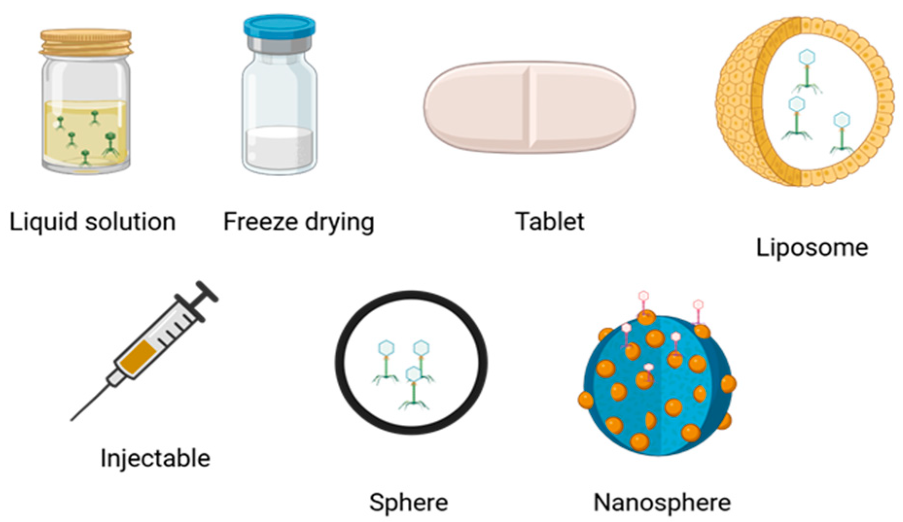 Microorganisms 13 00100 g006 Microorganisms 13 00100 g006
