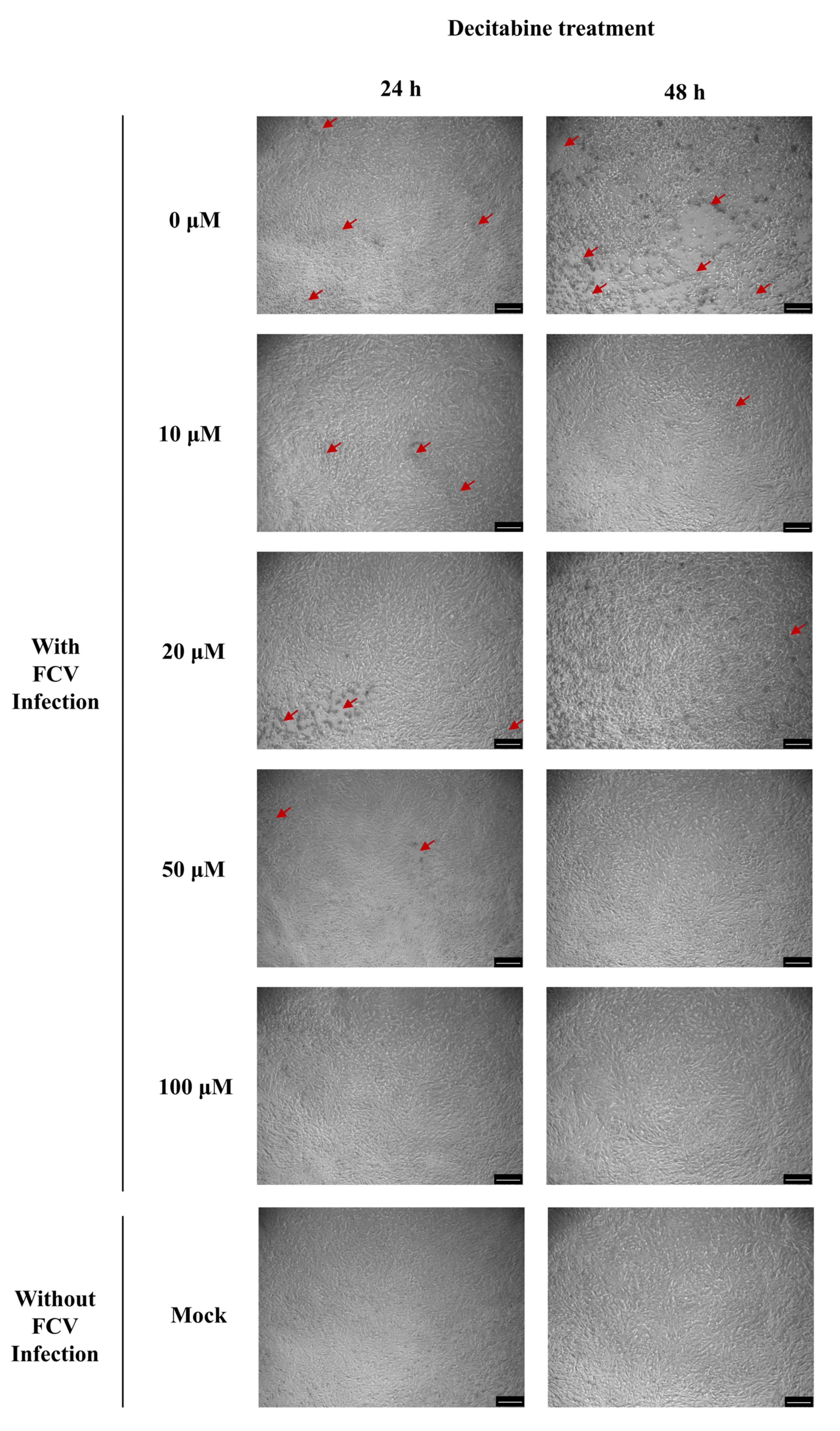 Microorganisms 13 00143 g003