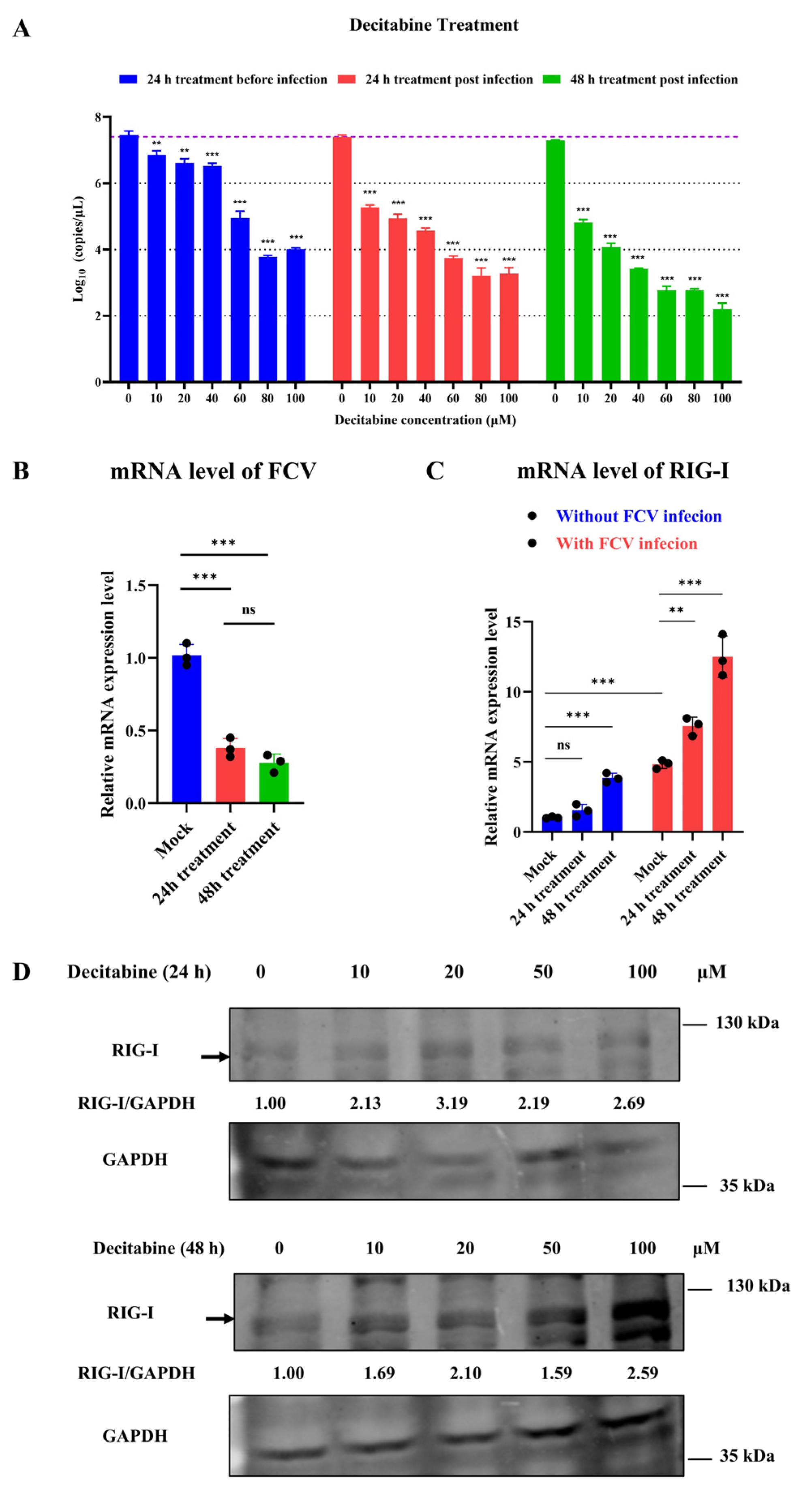 Microorganisms 13 00143 g004