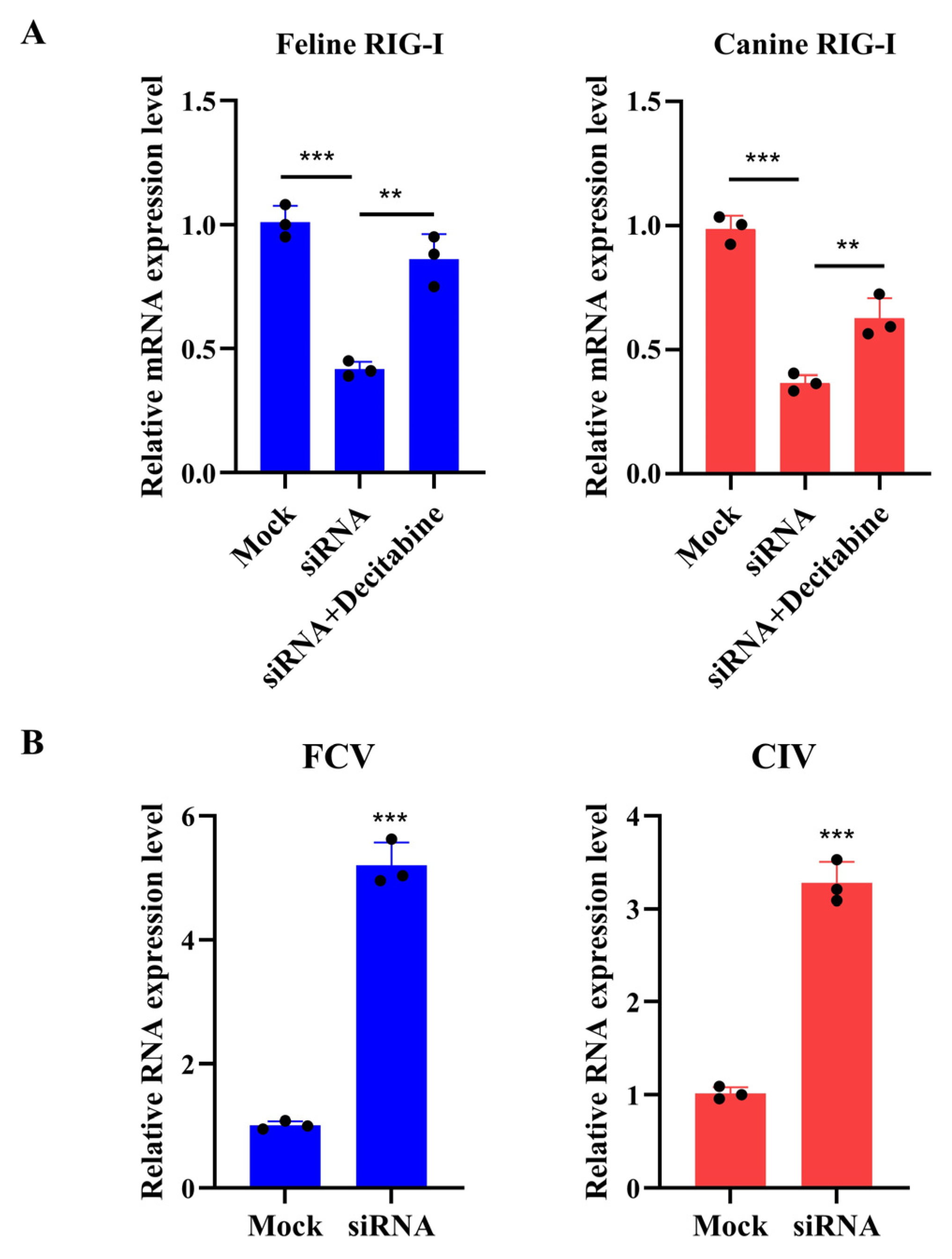 Microorganisms 13 00143 g005