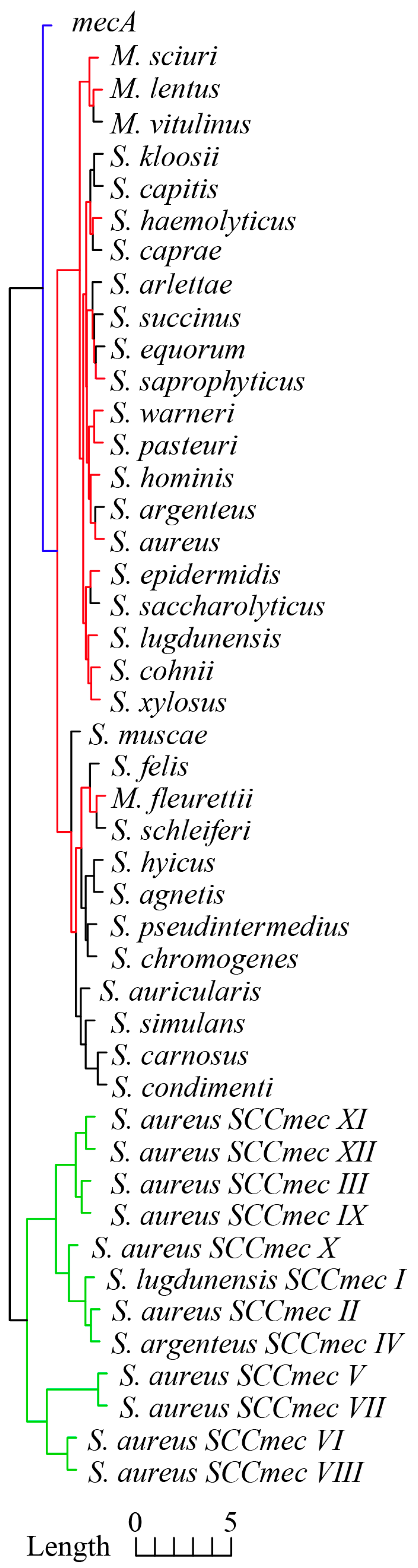 Microorganisms 13 00153 g002
