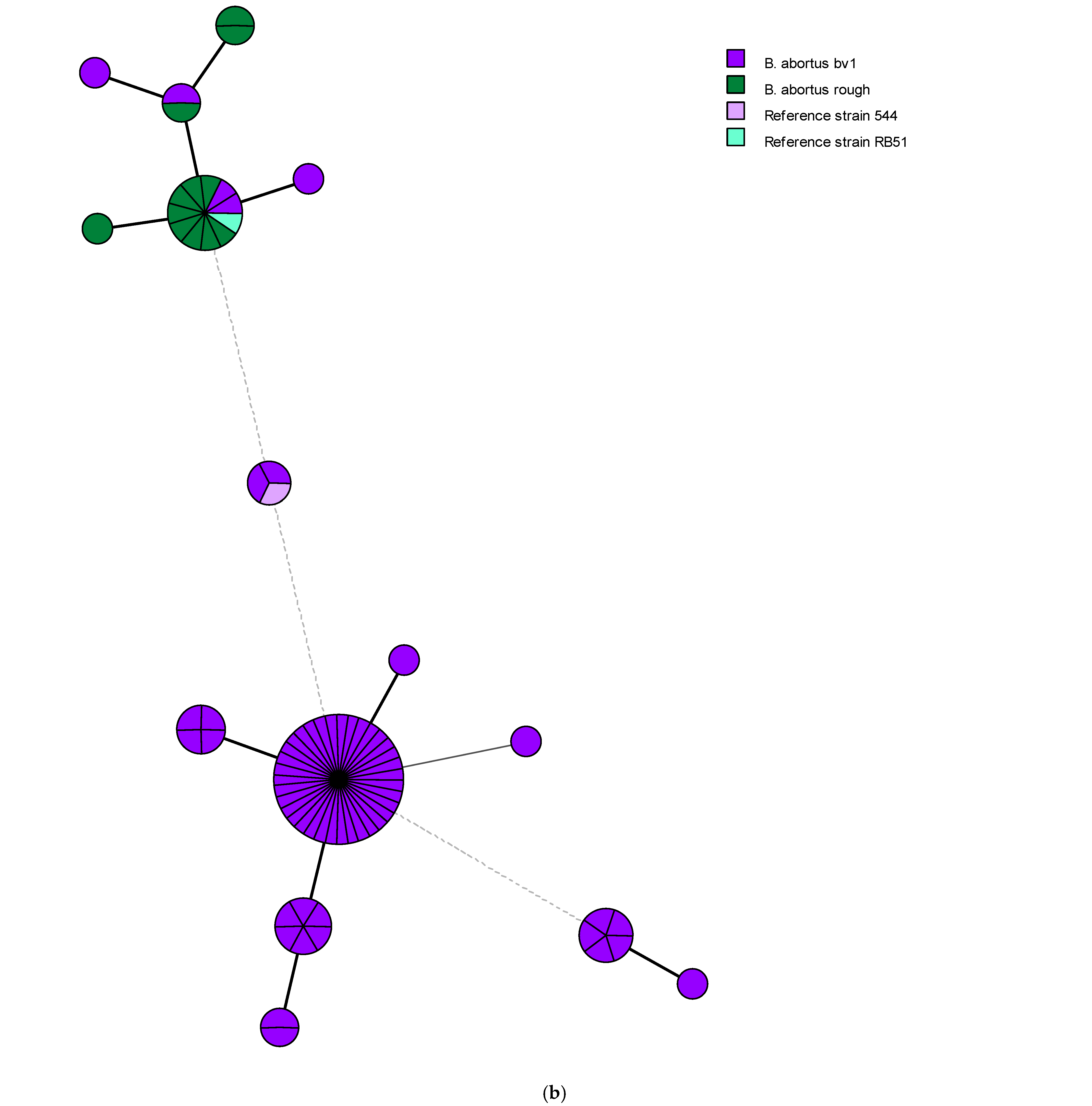 Microorganisms 13 00170 g009b