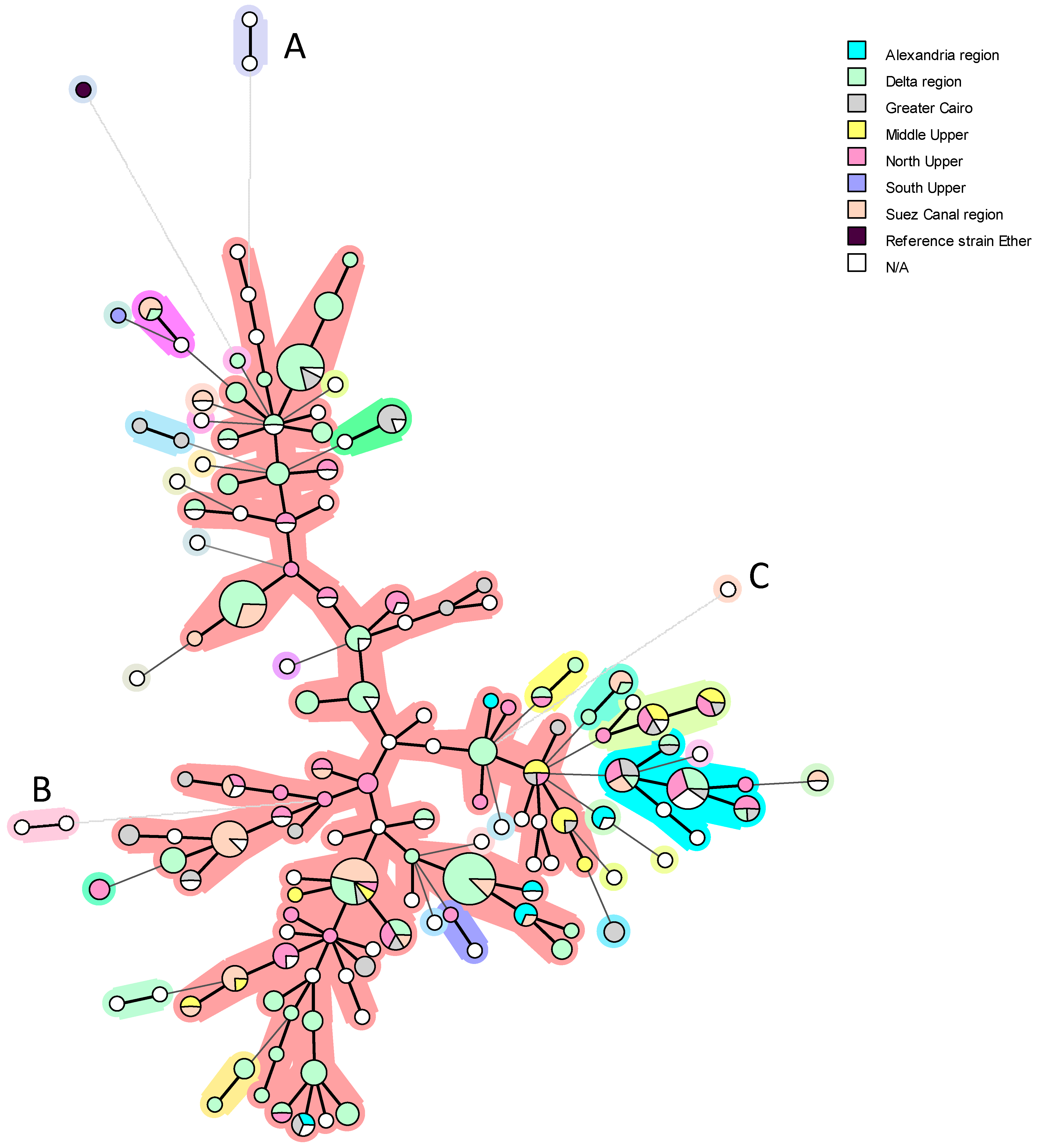 Microorganisms 13 00170 g012