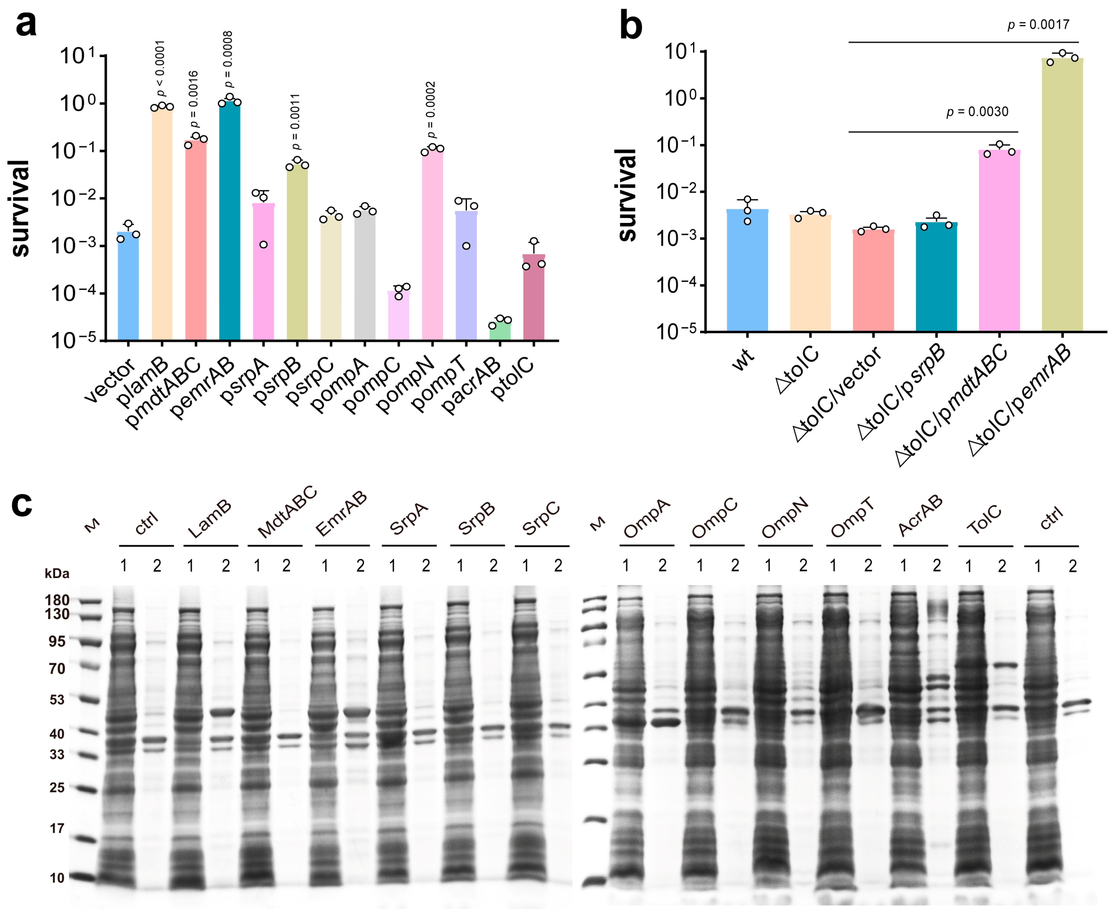 Microorganisms 13 00202 g001