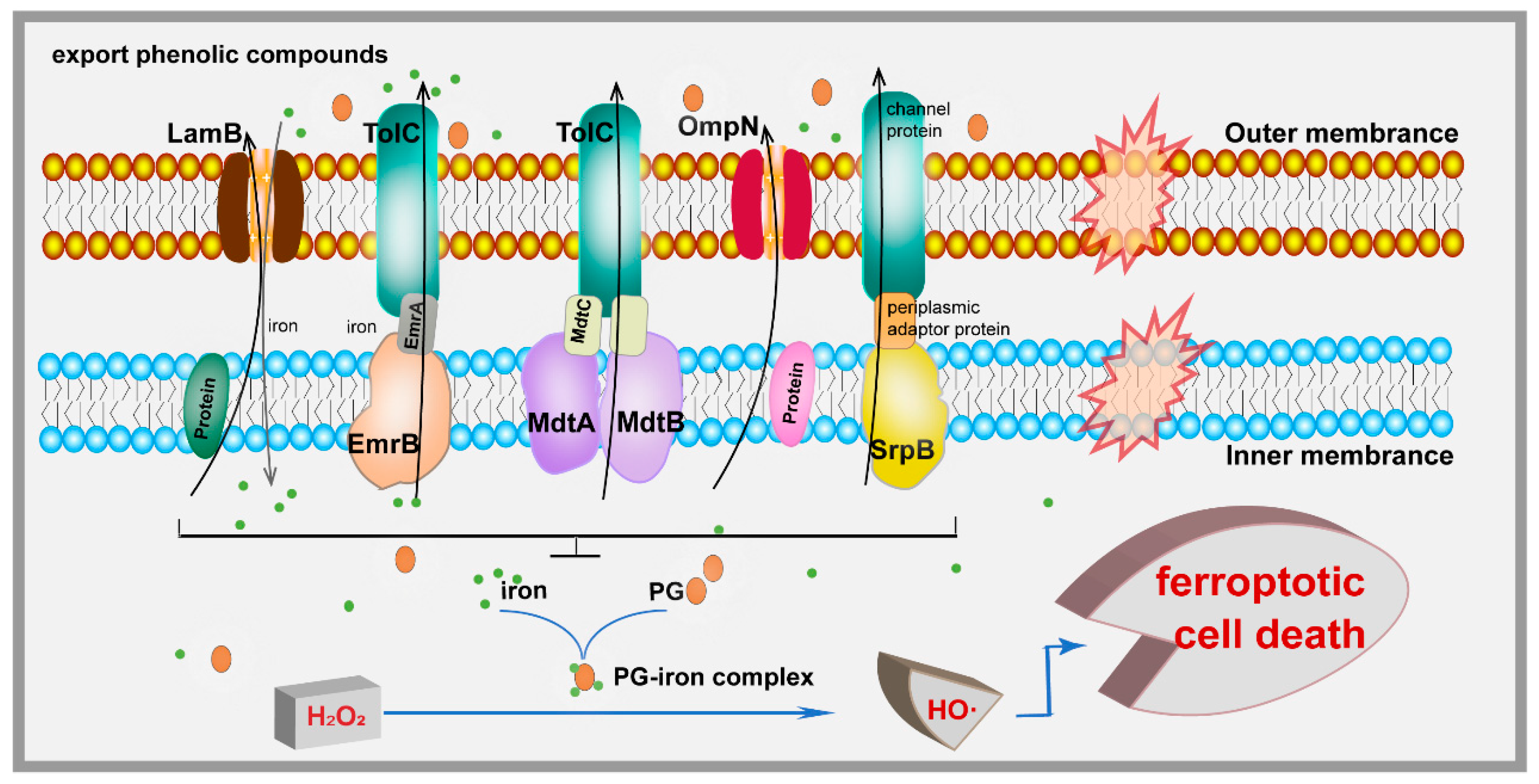 Microorganisms 13 00202 g005