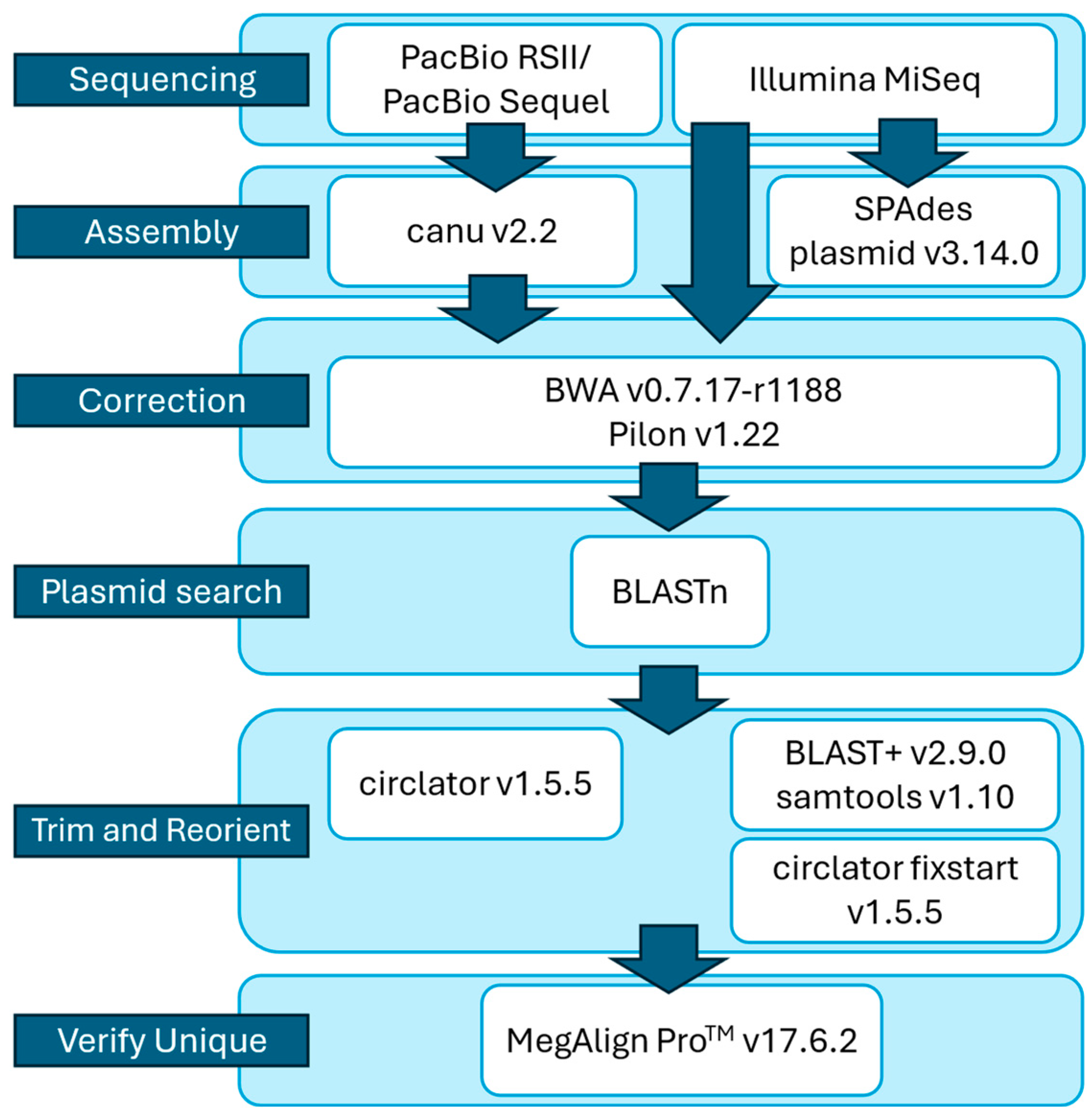 Microorganisms 13 00206 g001