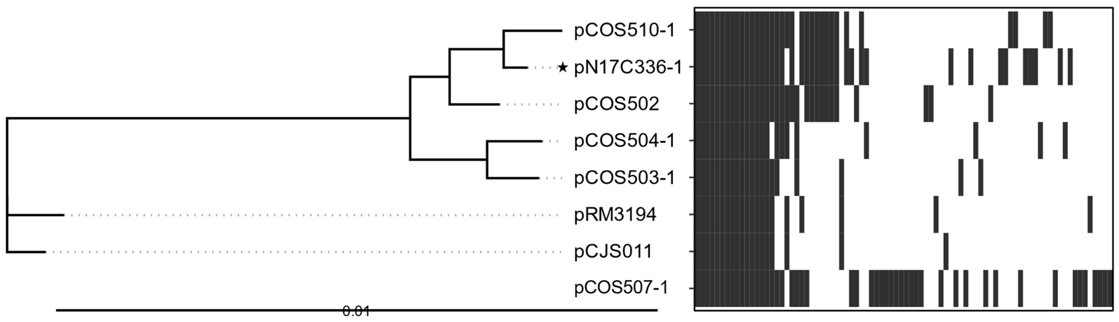 Microorganisms 13 00206 g006