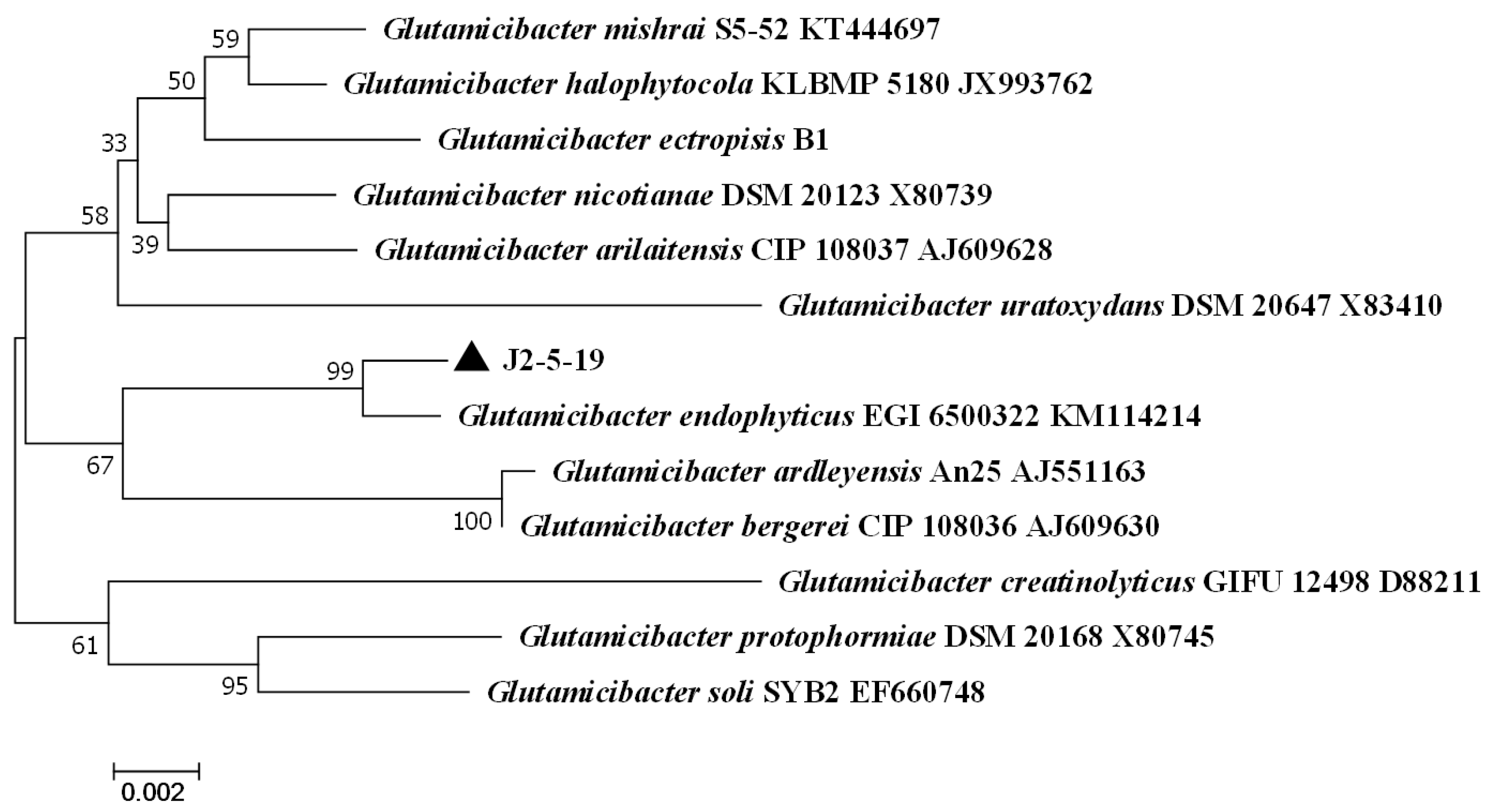 Microorganisms 13 00208 g002
