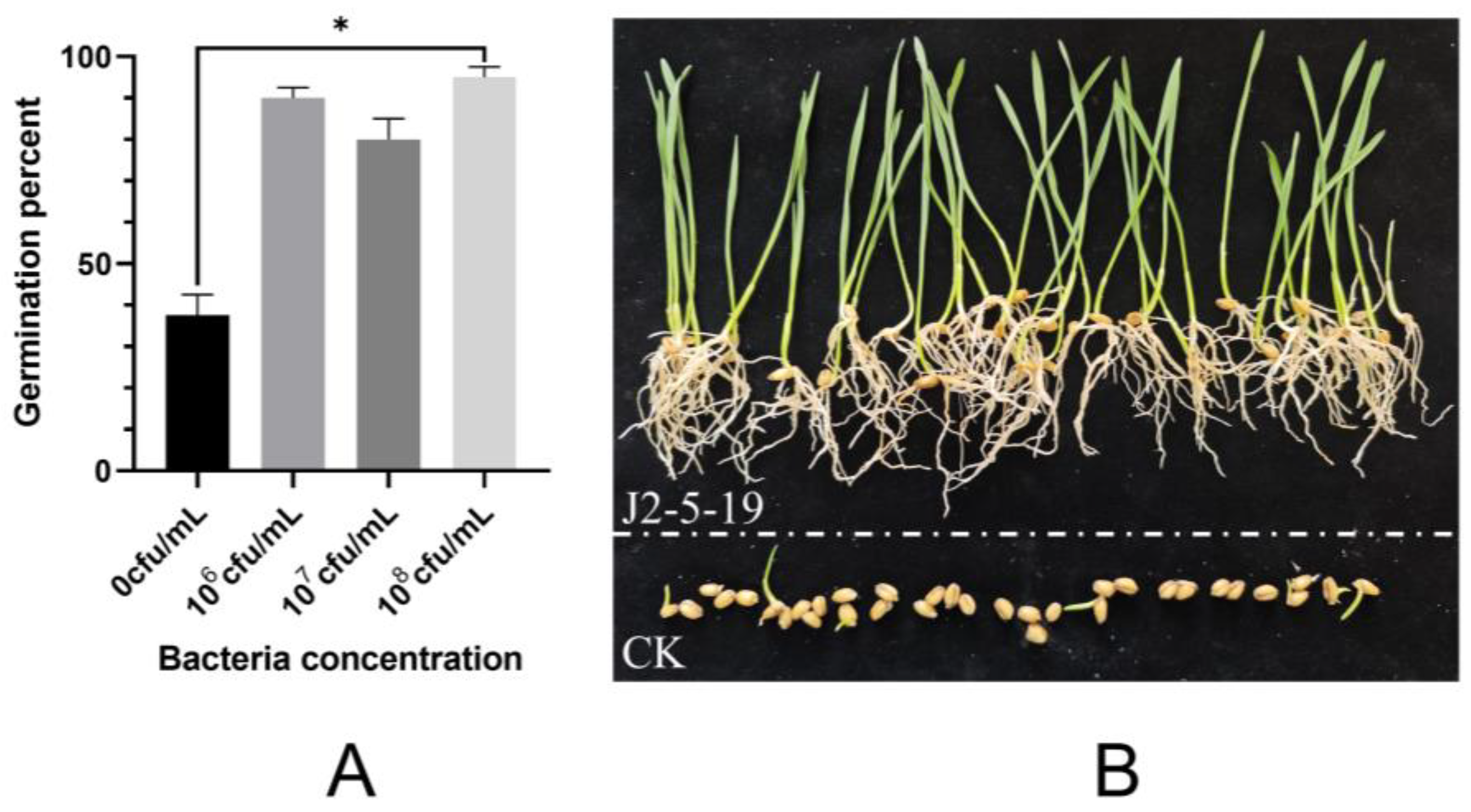 Microorganisms 13 00208 g009
